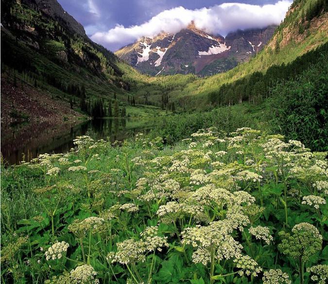 Green And Lush Valley 4 Wallpaper AJ Wallpaper 1 