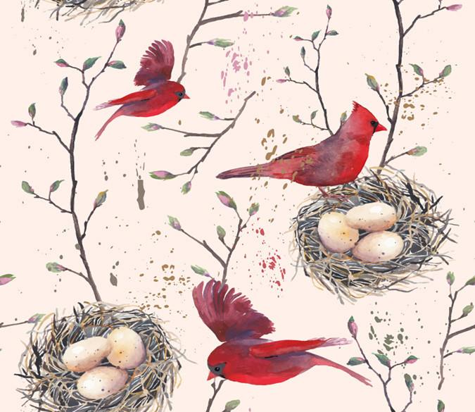 3D Bird Eggs 829 Wallpaper AJ Wallpaper 