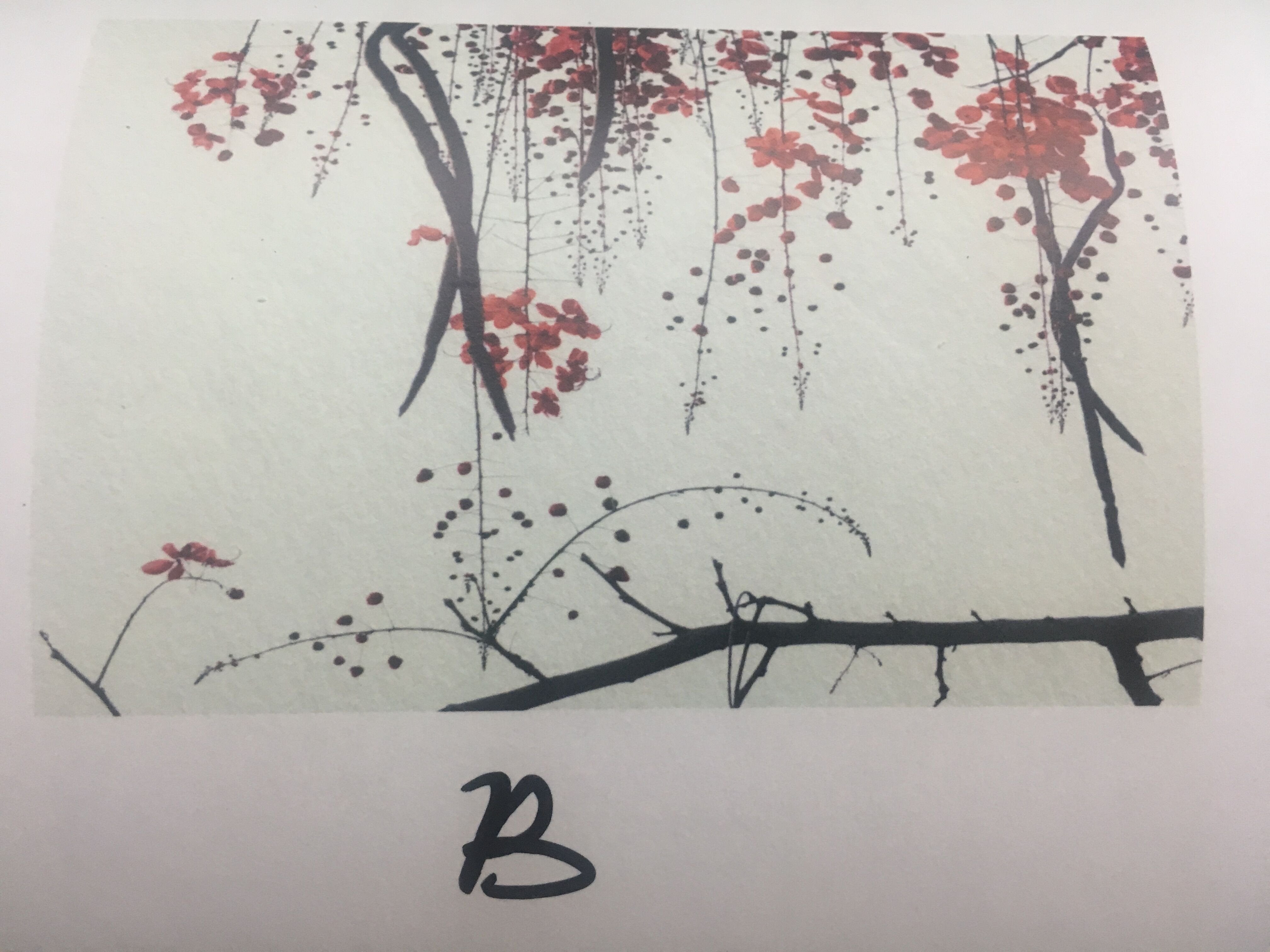 Custom Size Red Blossom Flower Plain : 3770L x 2400H AJ Wallpaper 