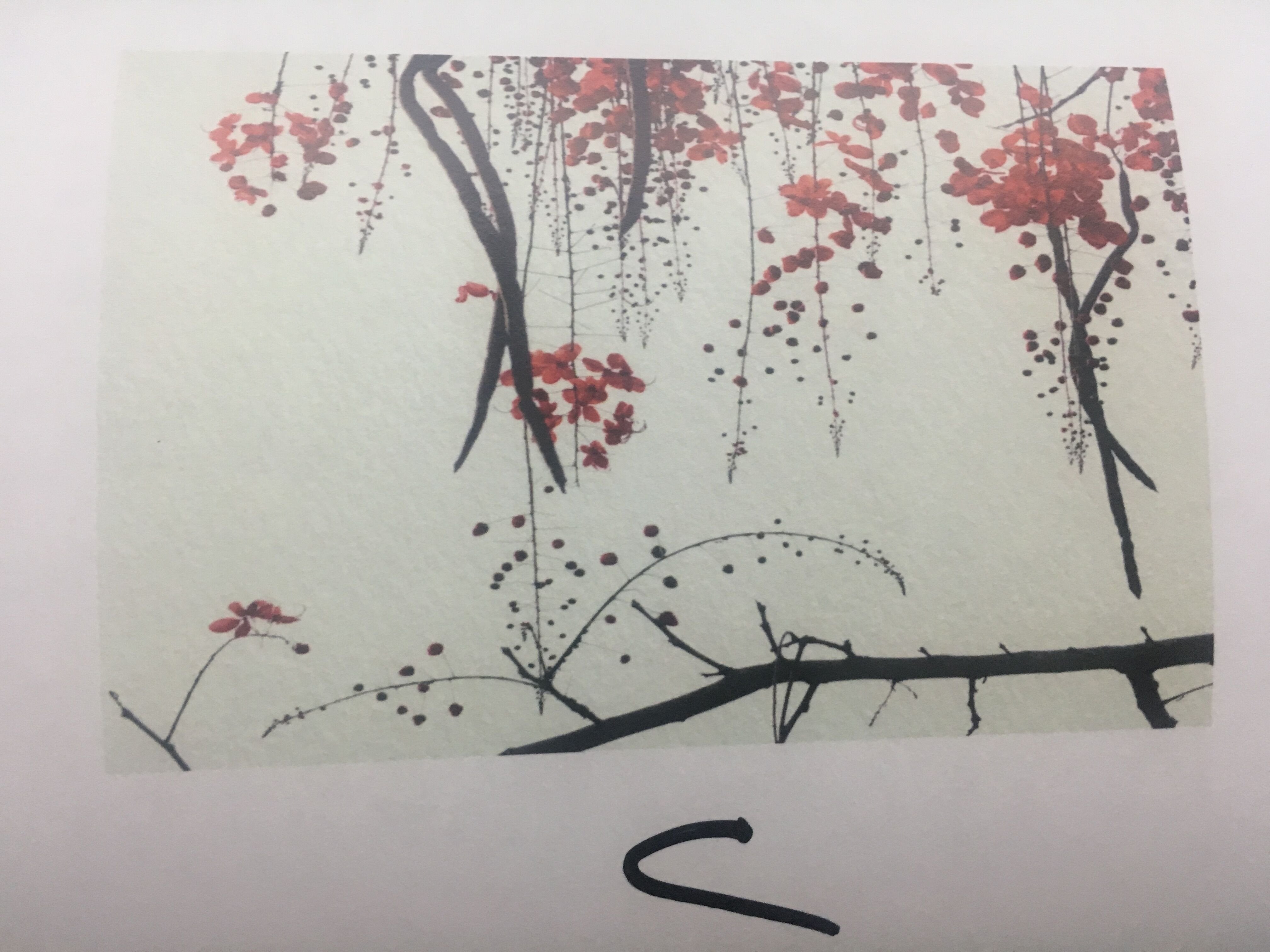 Custom Size Red Blossom Flower Plain : 3770L x 2400H AJ Wallpaper 