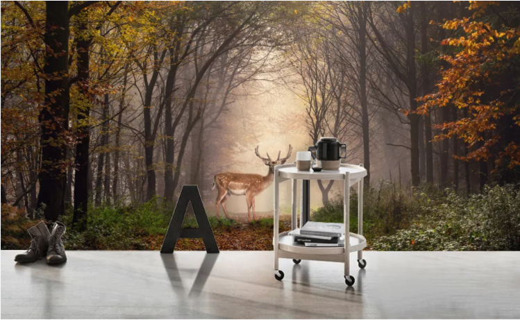3D Sika Deer Forest WC777 Wall Murals