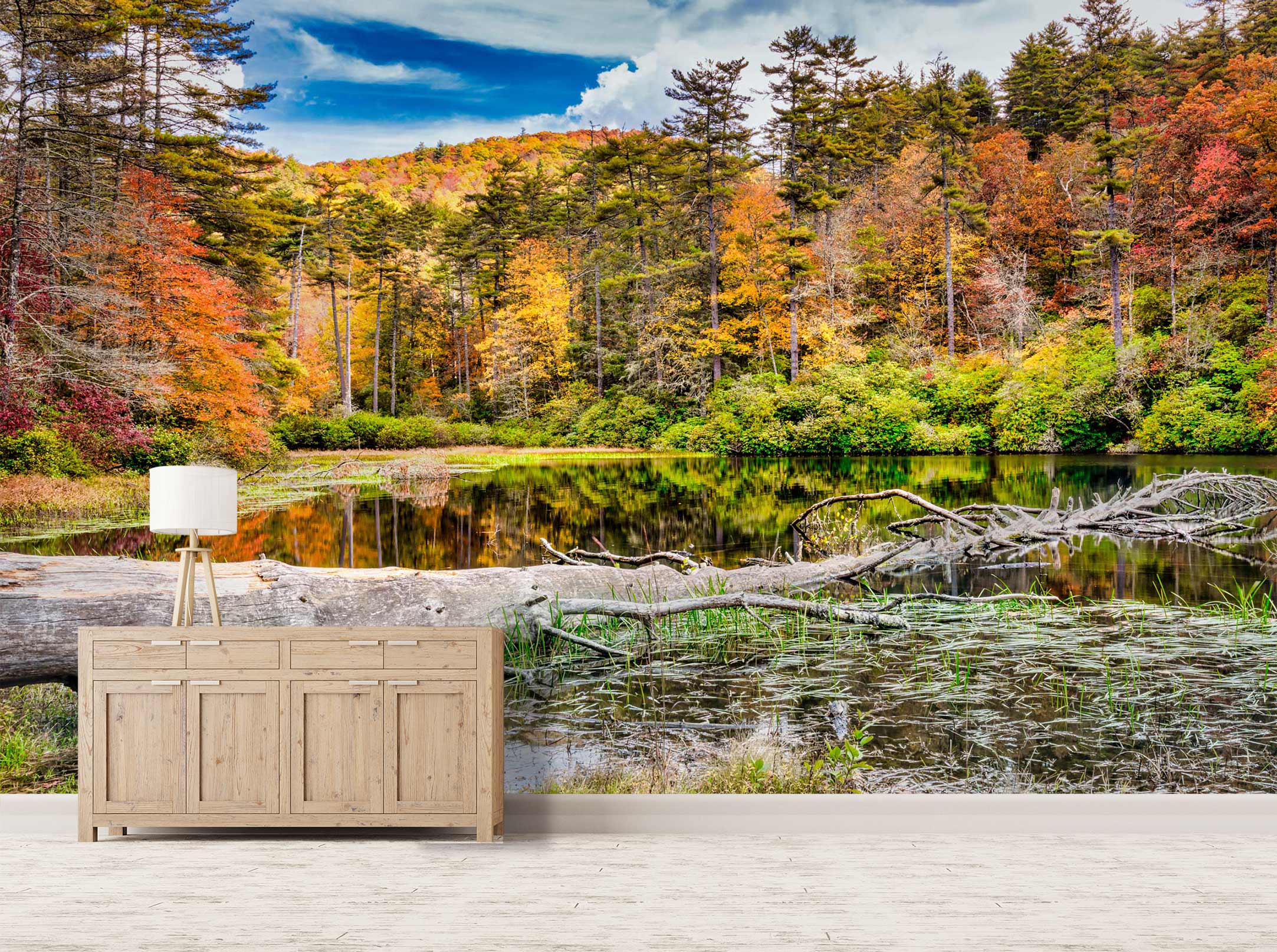 3D Lake Trees 5246 Beth Sheridan Wall Mural Wall Murals