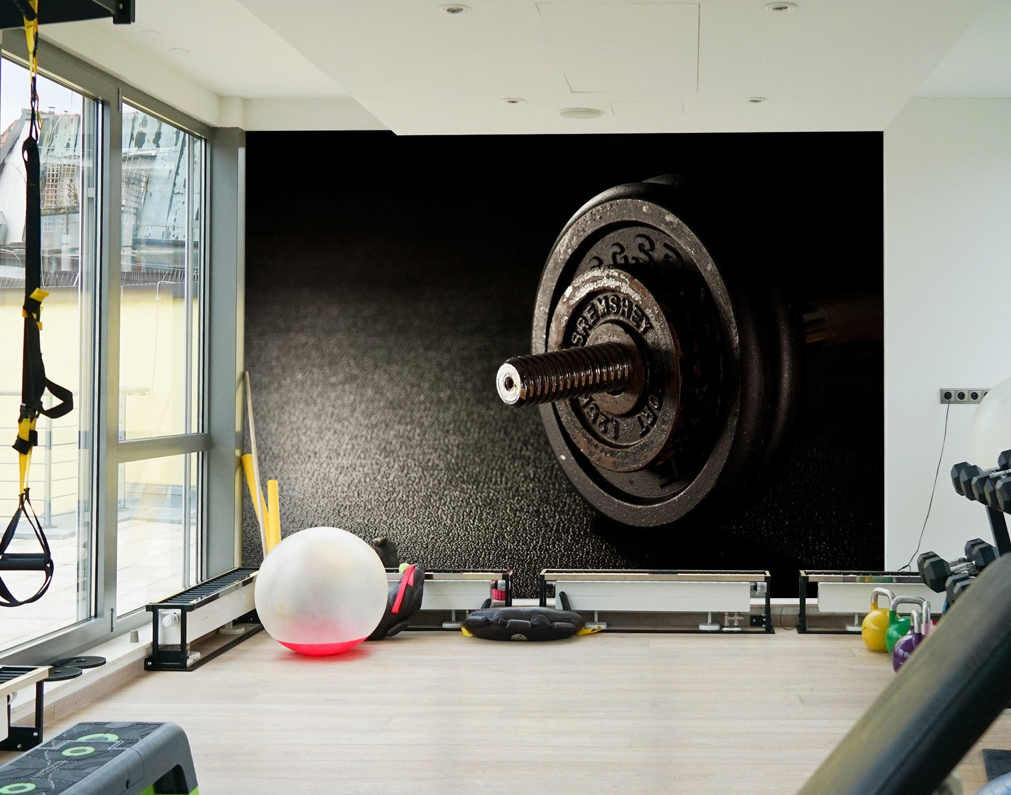 3D Black Dumbbell 014 Wall Murals Wallpaper AJ Wallpaper 2 