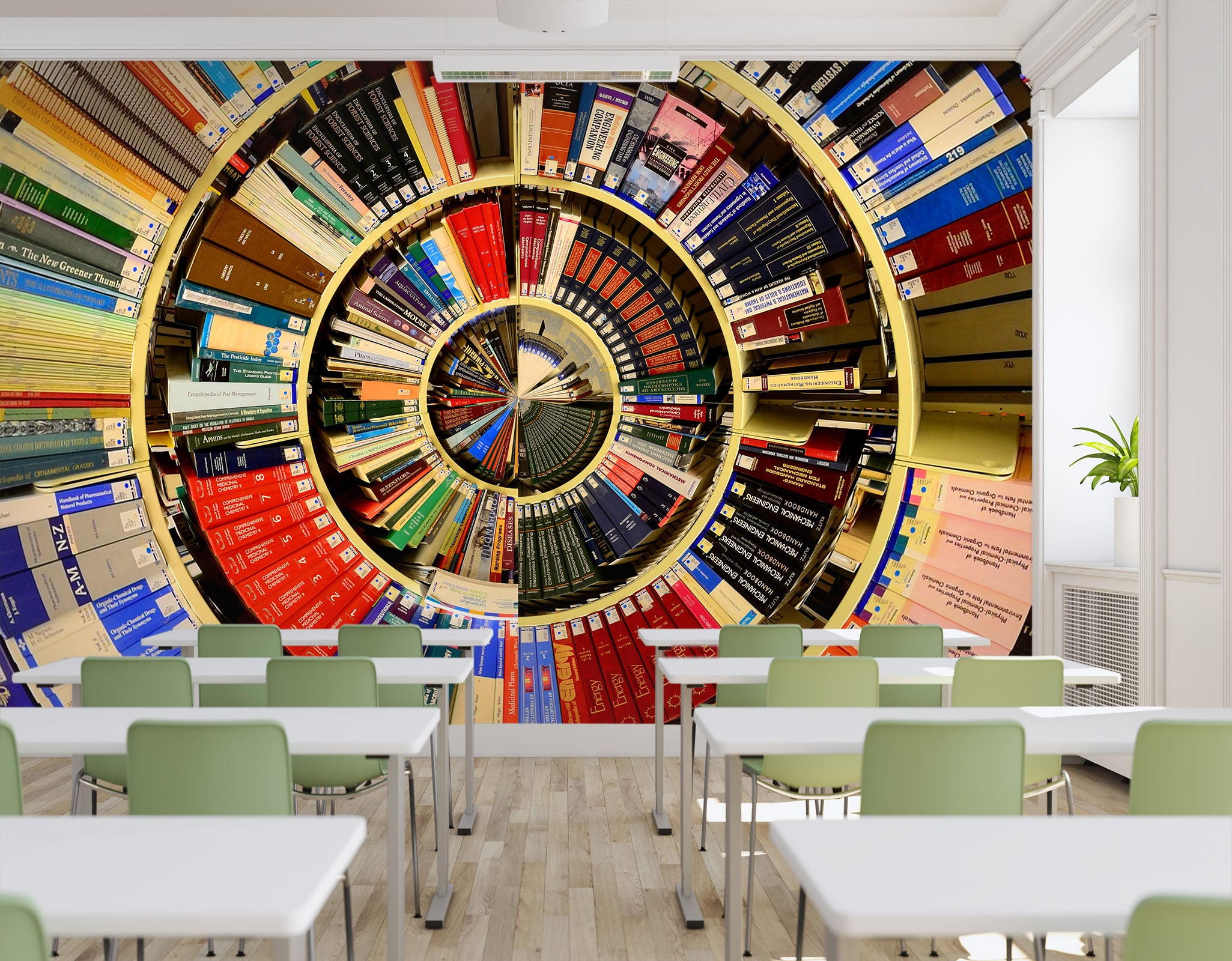 3D Round Bookshelf 162 Wall Murals