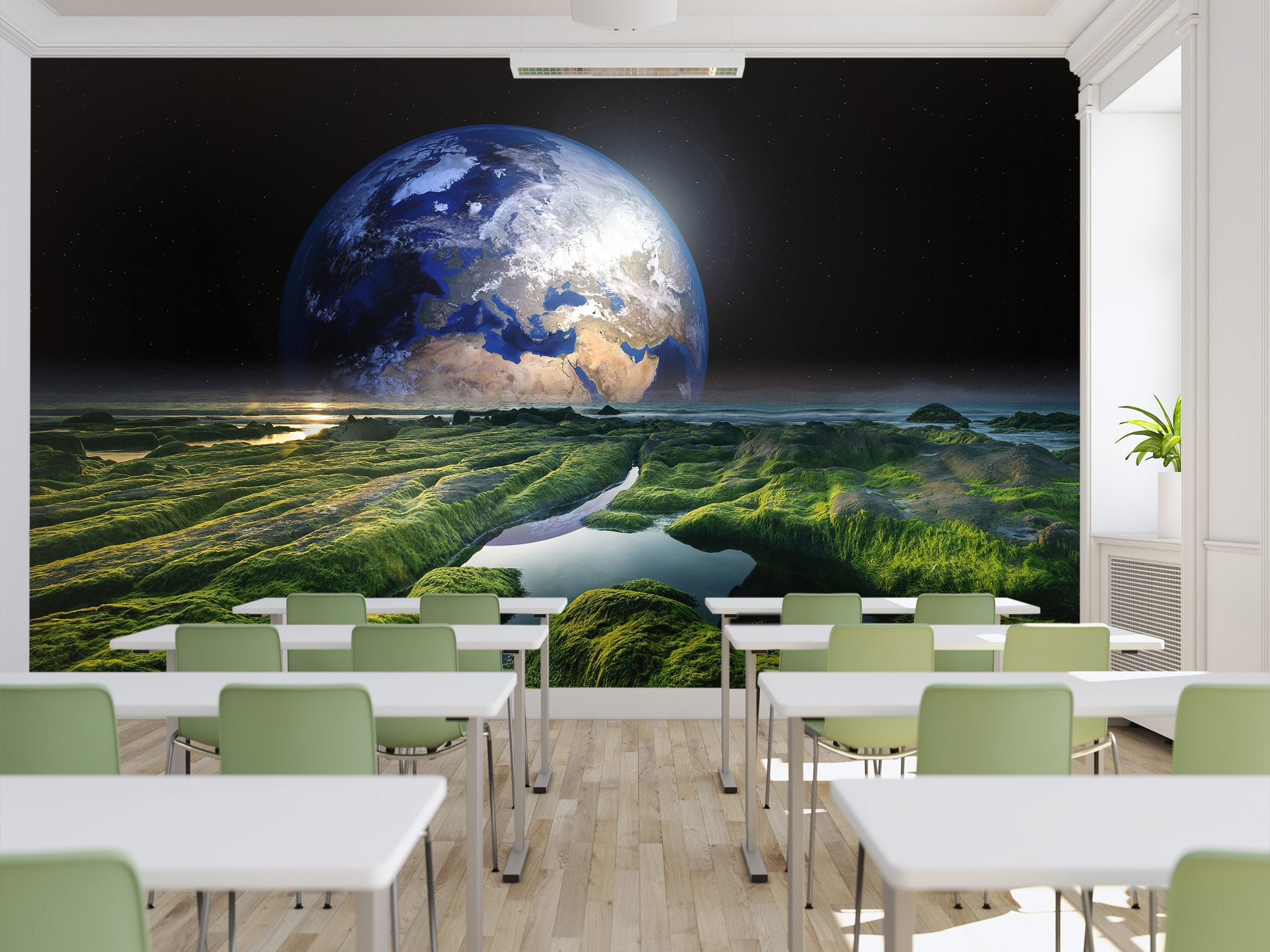 3D Earth above the plants 37 Wall Murals Wallpaper AJ Wallpaper 2 