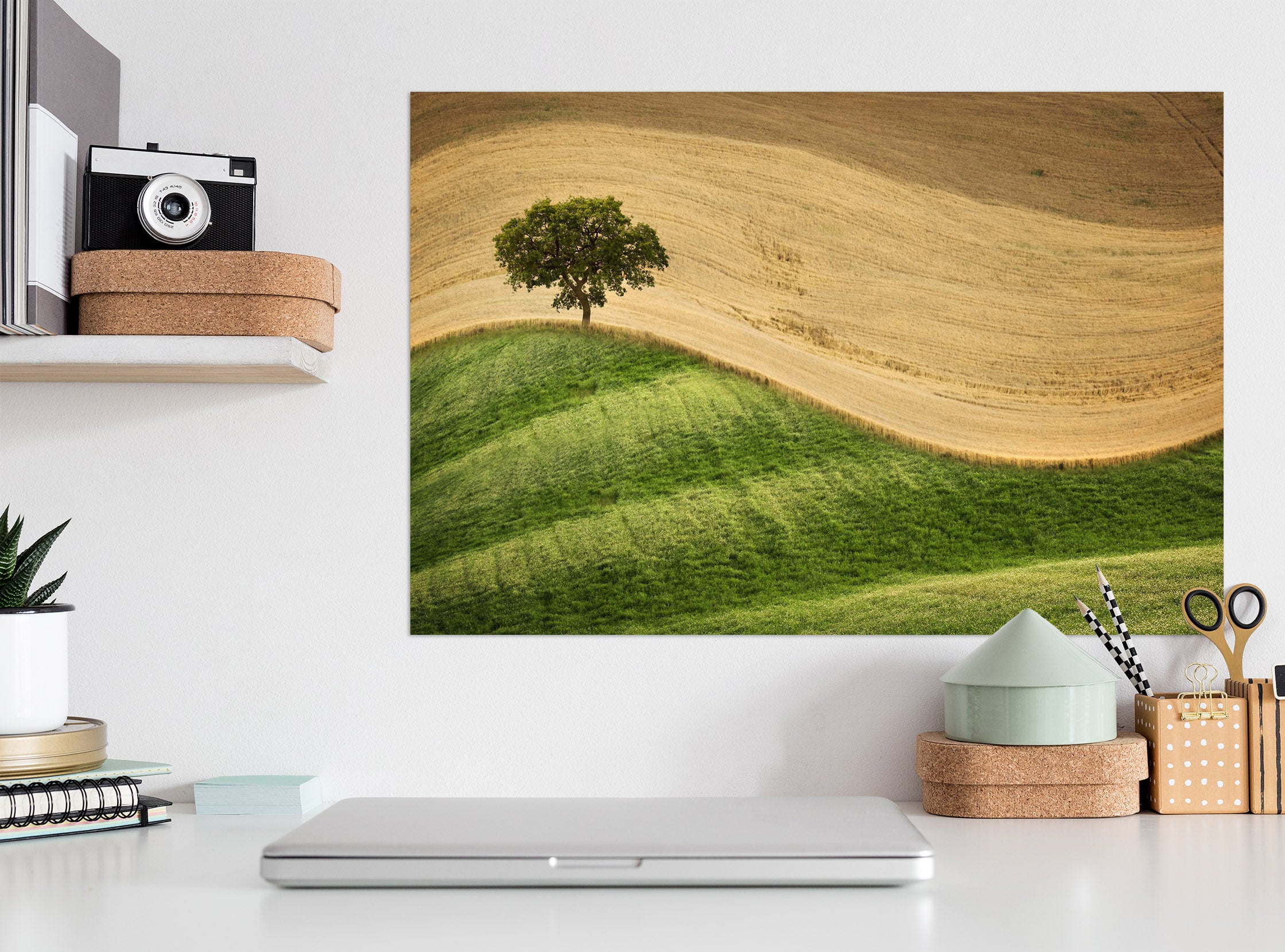 3D Desert Greenery 113 Marco Carmassi Wall Sticker