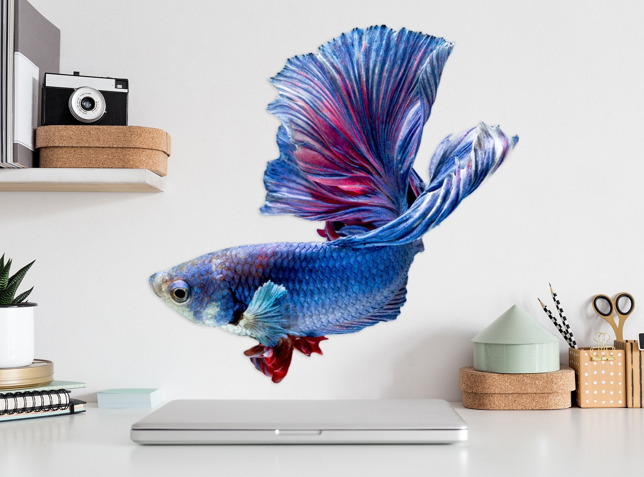 3D Blue Goldfish 037 Animals Wall Stickers Wallpaper AJ Wallpaper 
