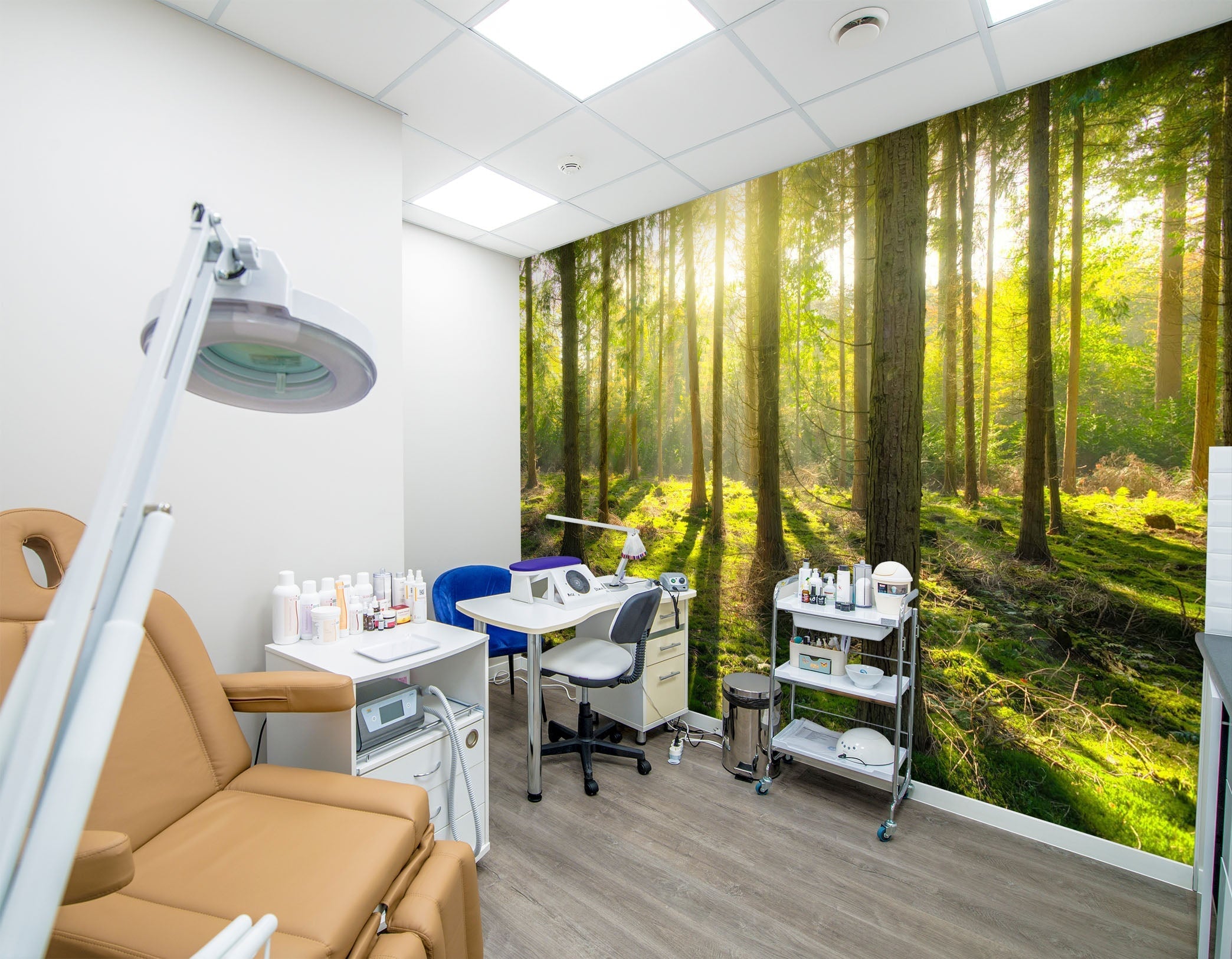 3D Woods Shadow Sunlight 023 Wall Murals Wallpaper AJ Wallpaper 2 