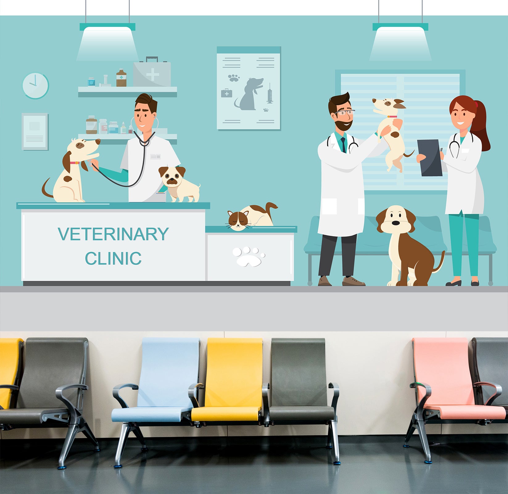 3D Veterinary Dog 335 Wall Murals
