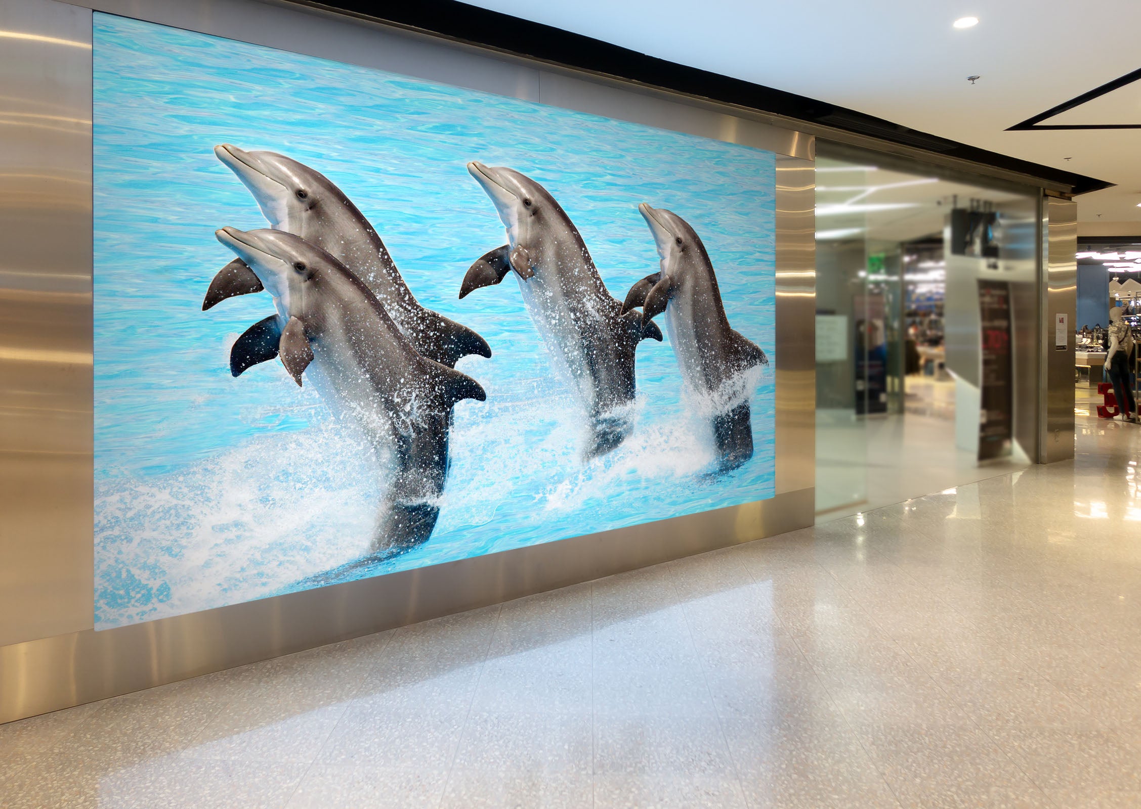 3D Dolphin Jumping 101 Wall Murals