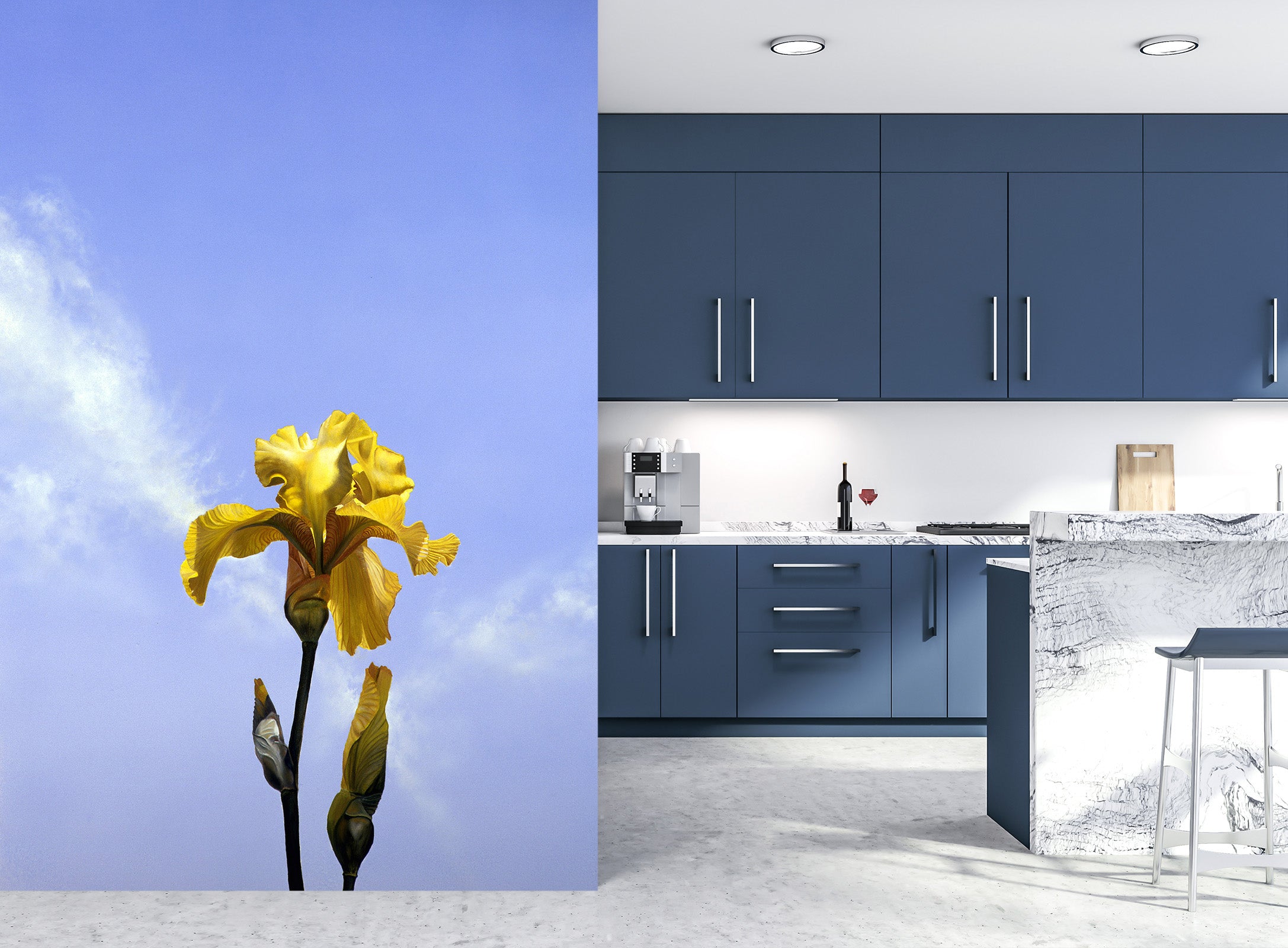 3D Flower 11134 Matthew Holden Bates Wall Mural Wall Murals