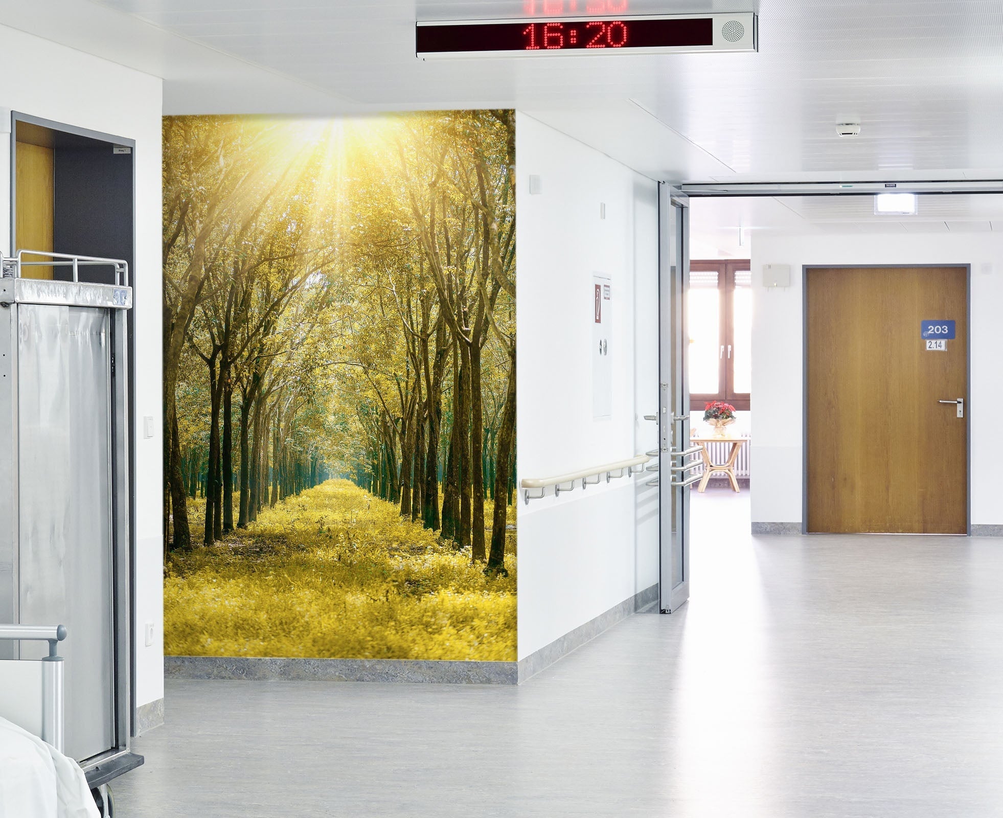 3D Sunshine Park Grass 049 Wall Murals Wallpaper AJ Wallpaper 