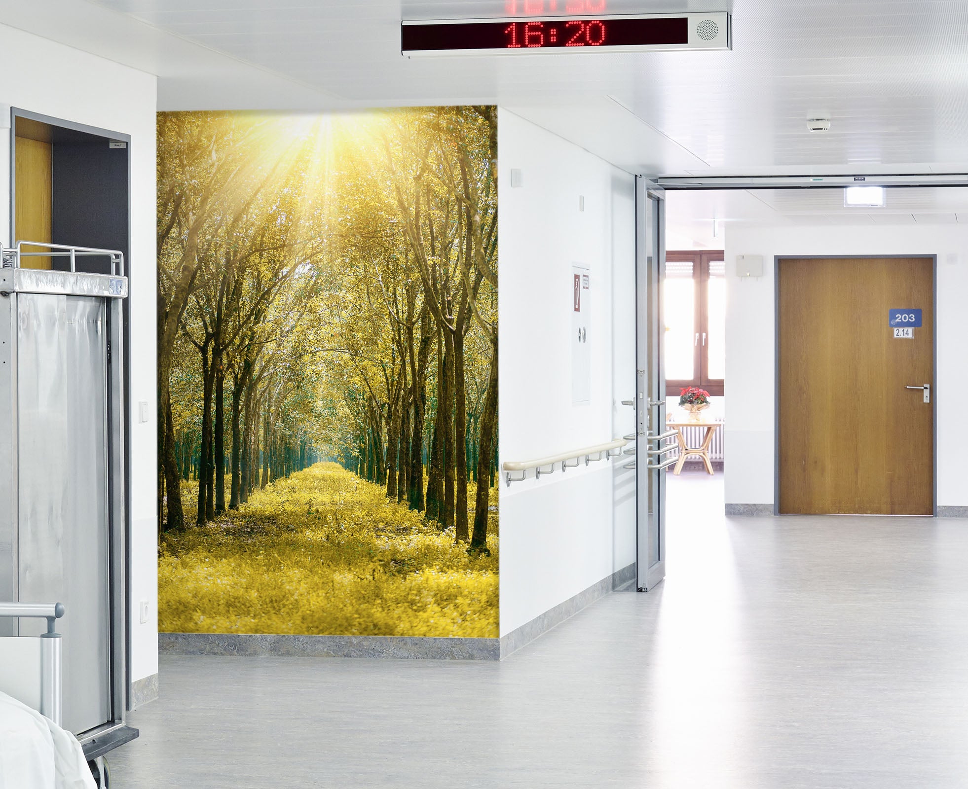 3D Sunshine Park Grass 015 Wall Murals