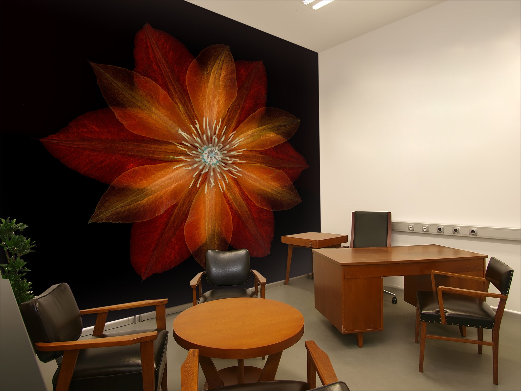 3D Flame Petals 1413 Assaf Frank Wall Mural Wall Murals