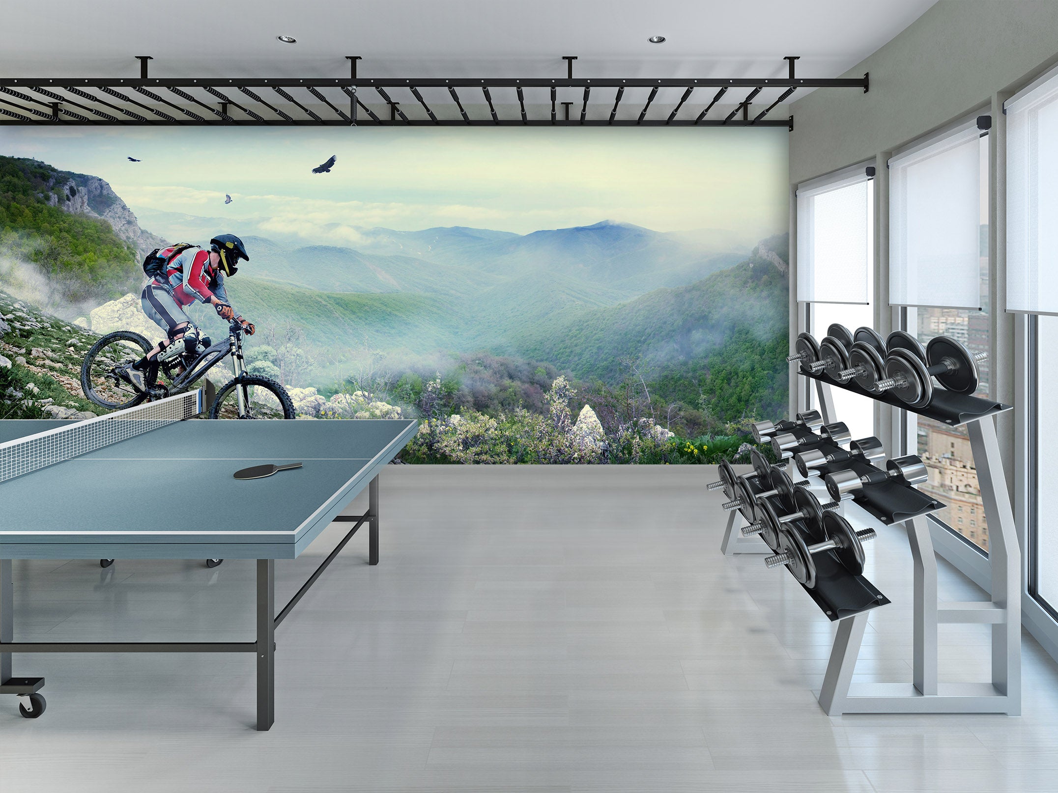 3D Mountain Biking 225 Wall Murals