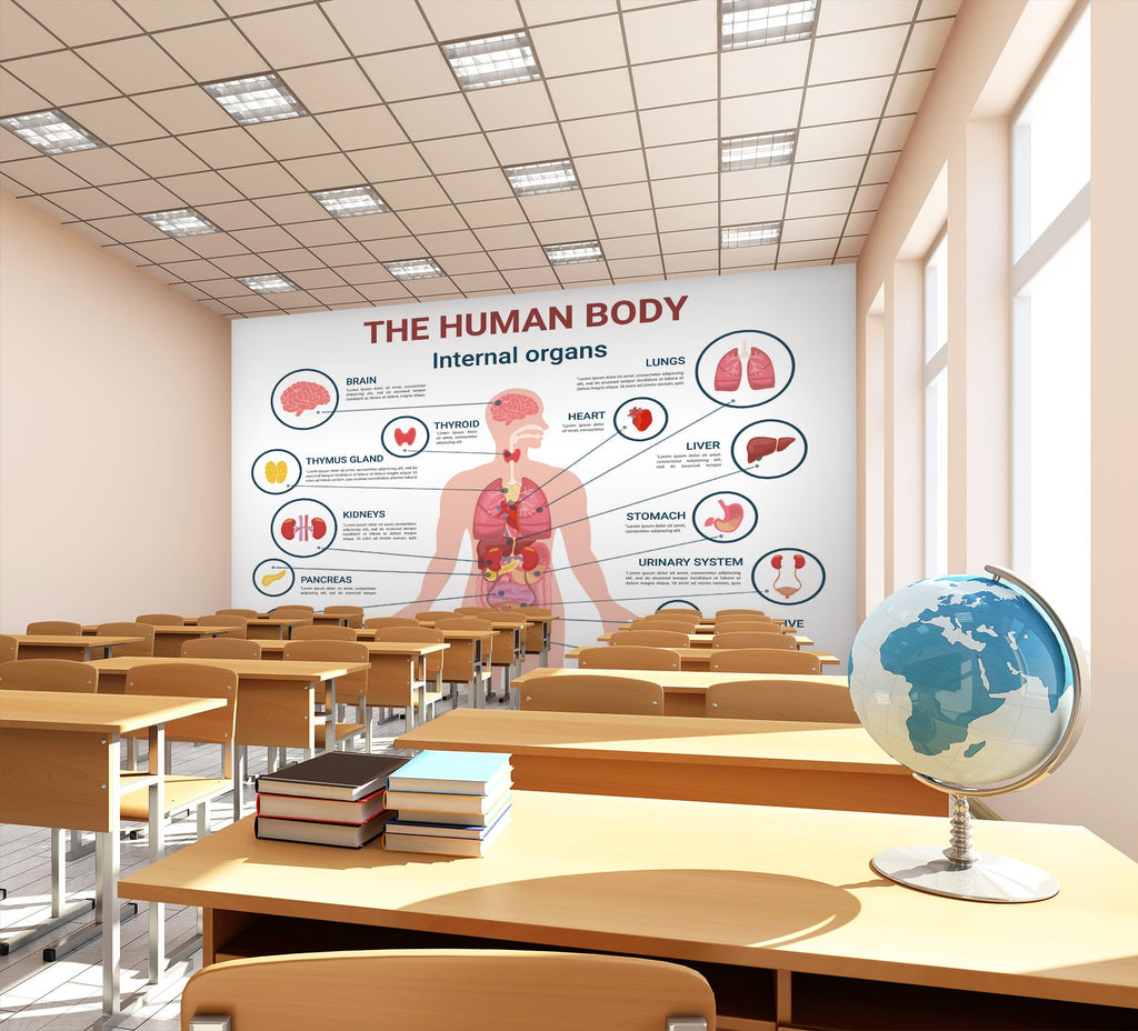 Wall Computer Organs 3D Human Organs 198 Wall Murals | AJ Wallpaper
