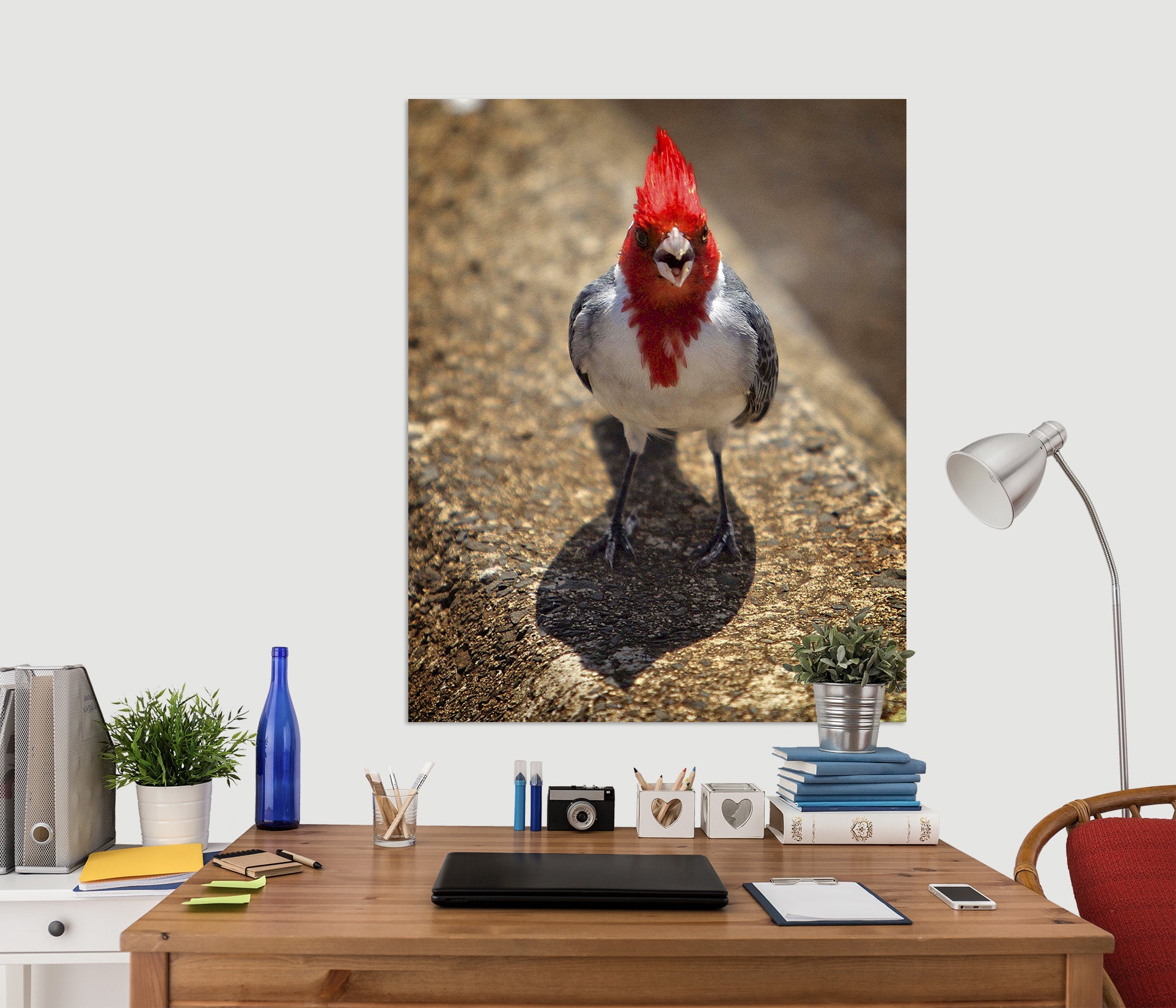3D Sassy Cardinal 043 Kathy Barefield Wall Sticker