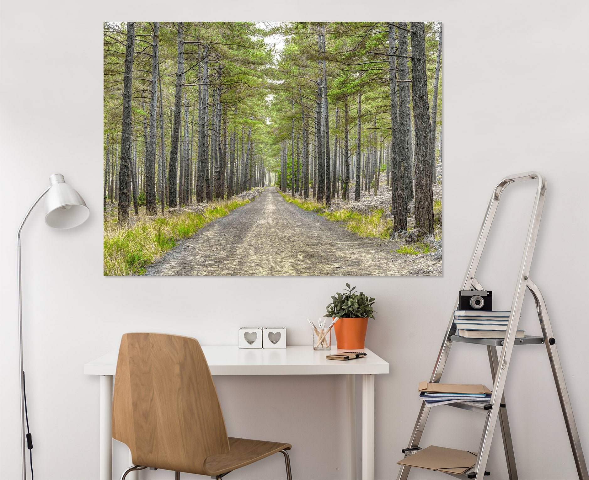 3D Forest Path 042 Assaf Frank Wall Sticker