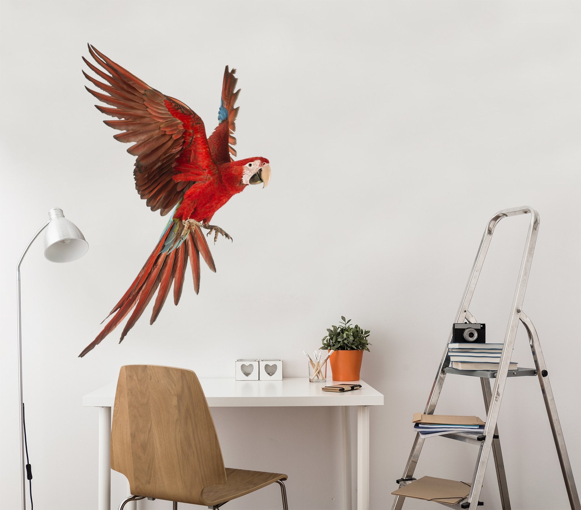 3D Parrot Flying 194 Animals Wall Stickers Wallpaper AJ Wallpaper 