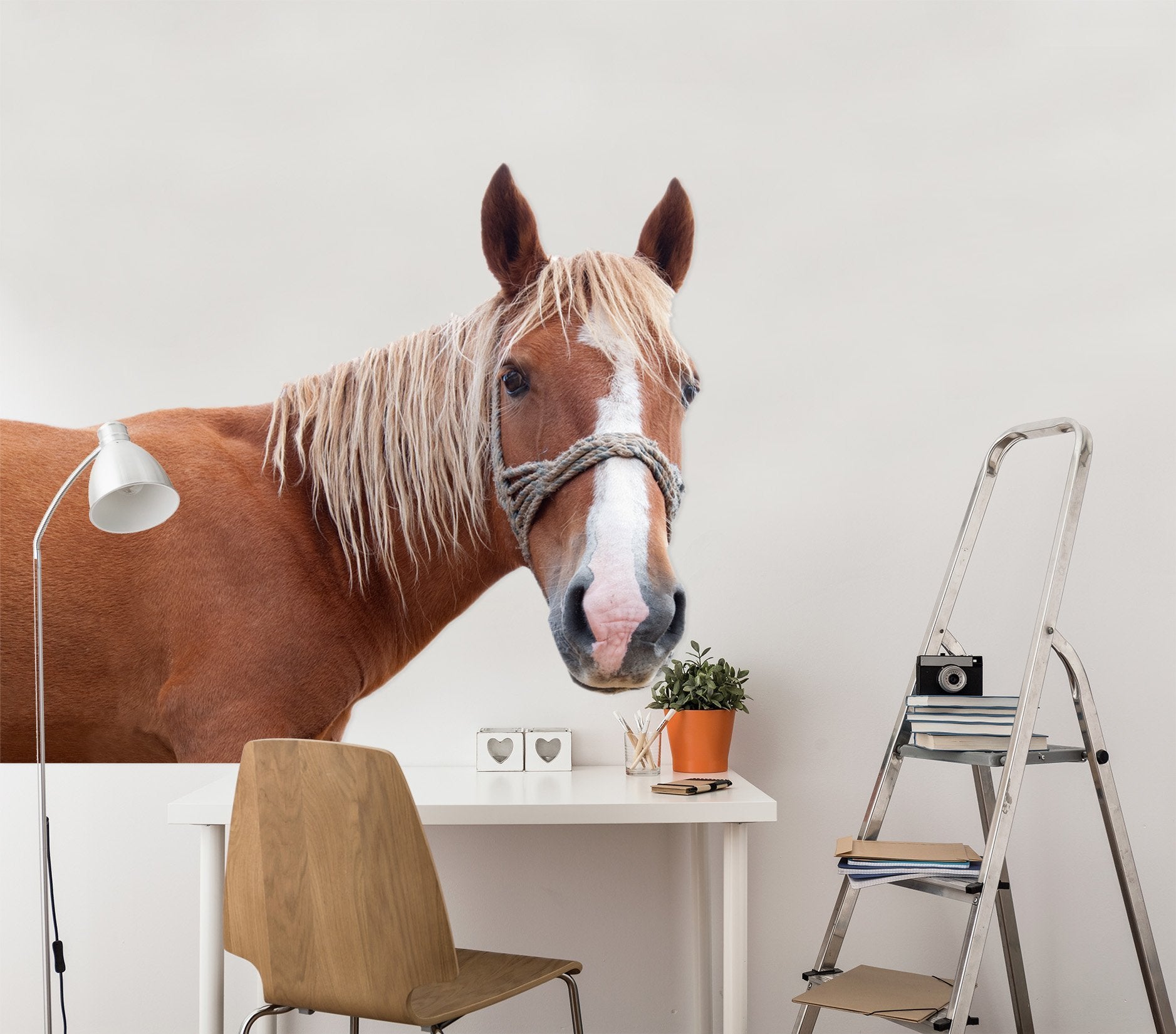 3D Brown Horse Head 081 Animals Wall Stickers Wallpaper AJ Wallpaper 