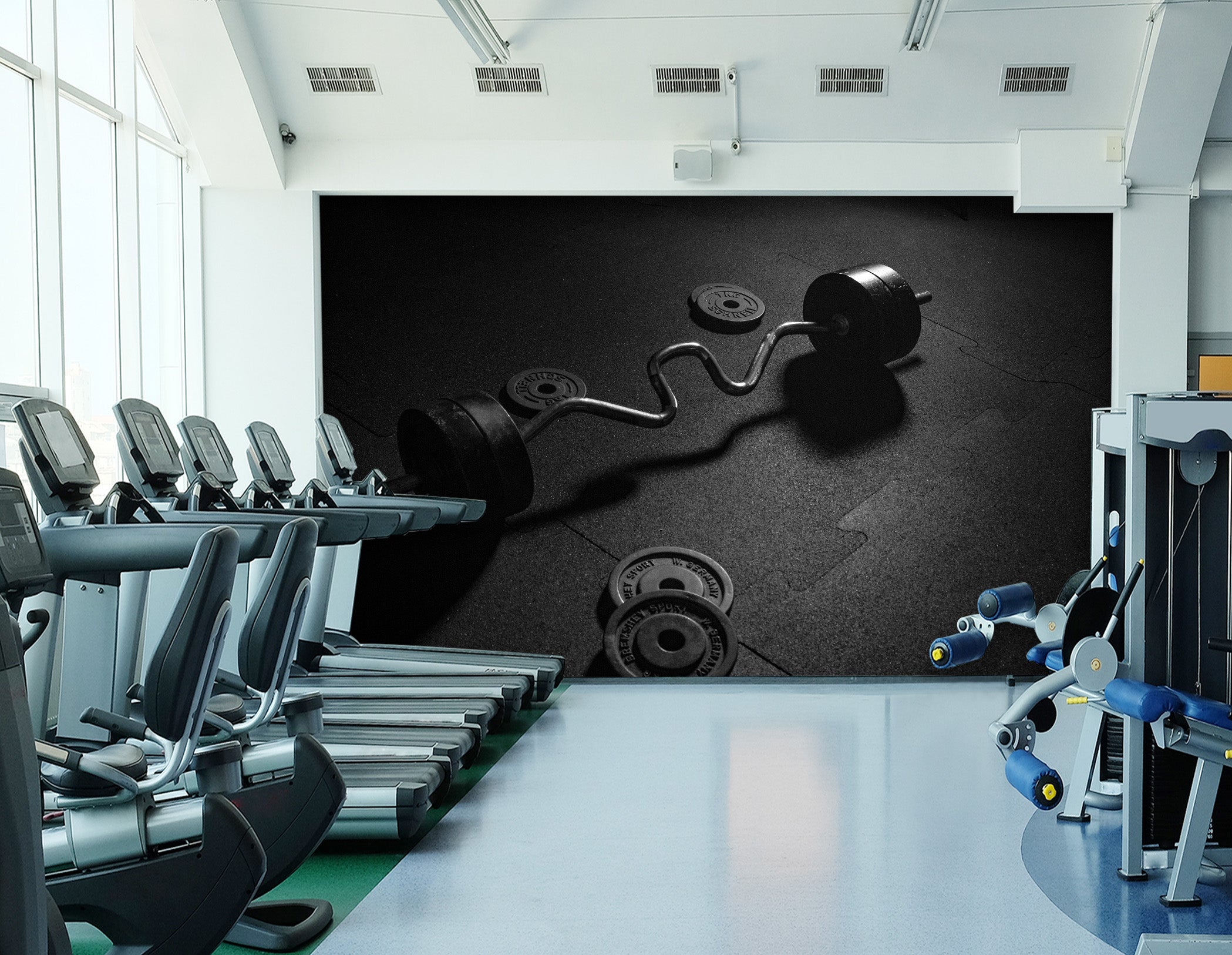 3D Fitness Equipment 205 Wall Murals