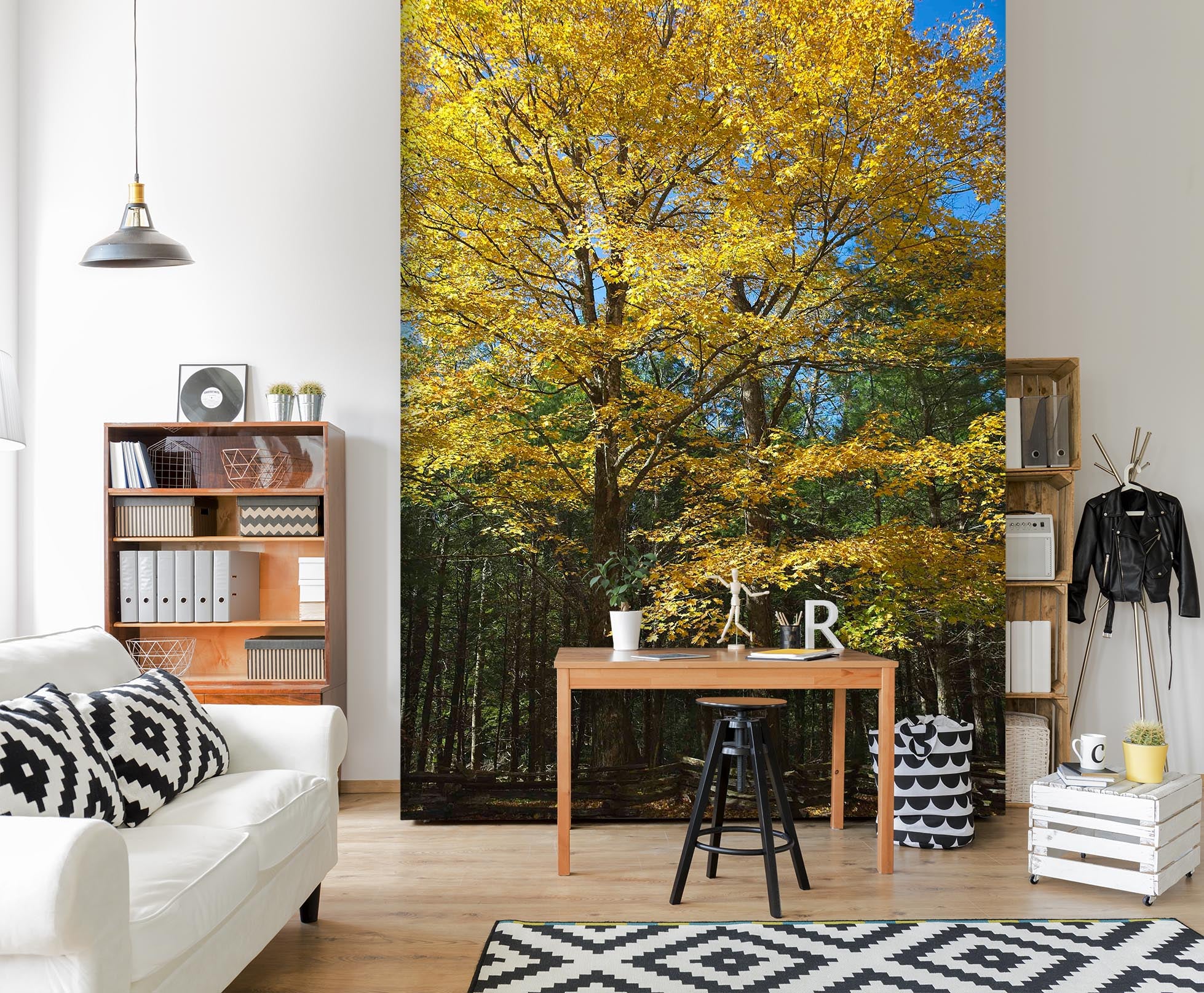 3D Sunny Forest 1401 Kathy Barefield Wall Mural Wall Murals