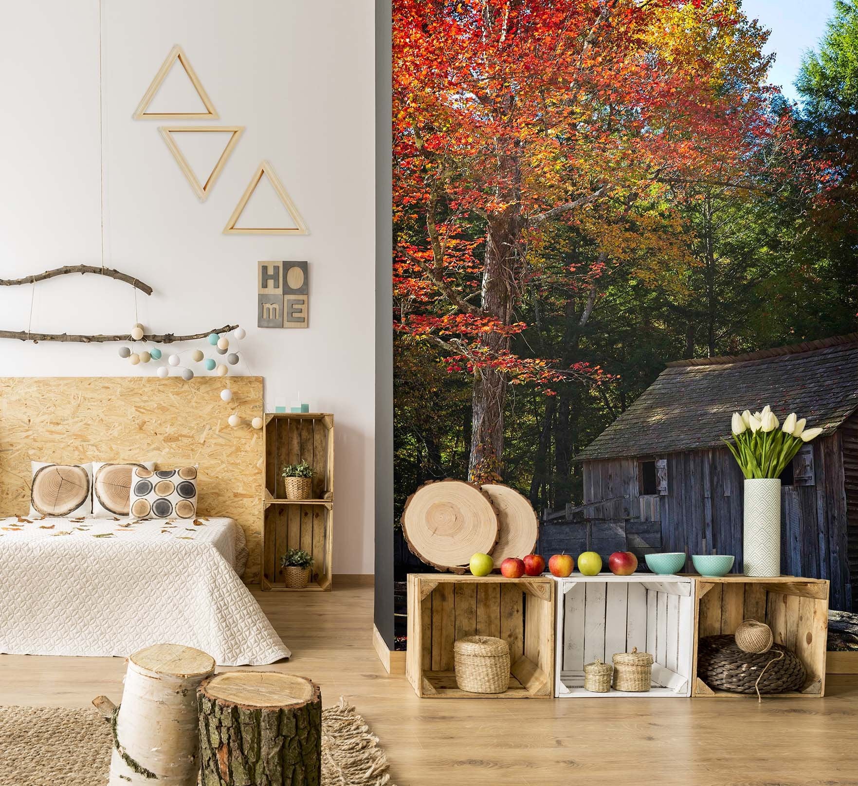 3D Autumn 1399 Kathy Barefield Wall Mural Wall Murals Wallpaper AJ Wallpaper 