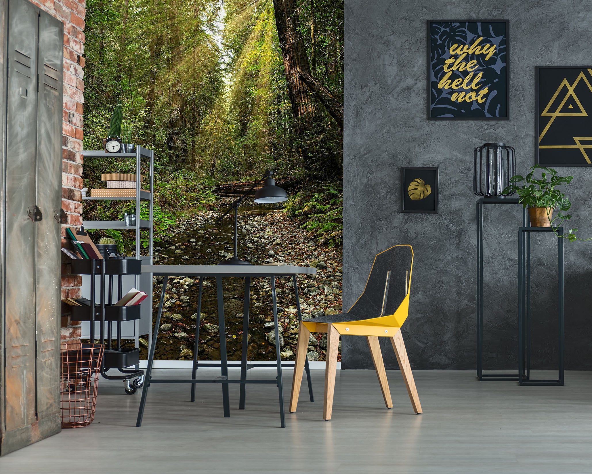 3D Forest Stream 62098 Kathy Barefield Wall Mural Wall Murals