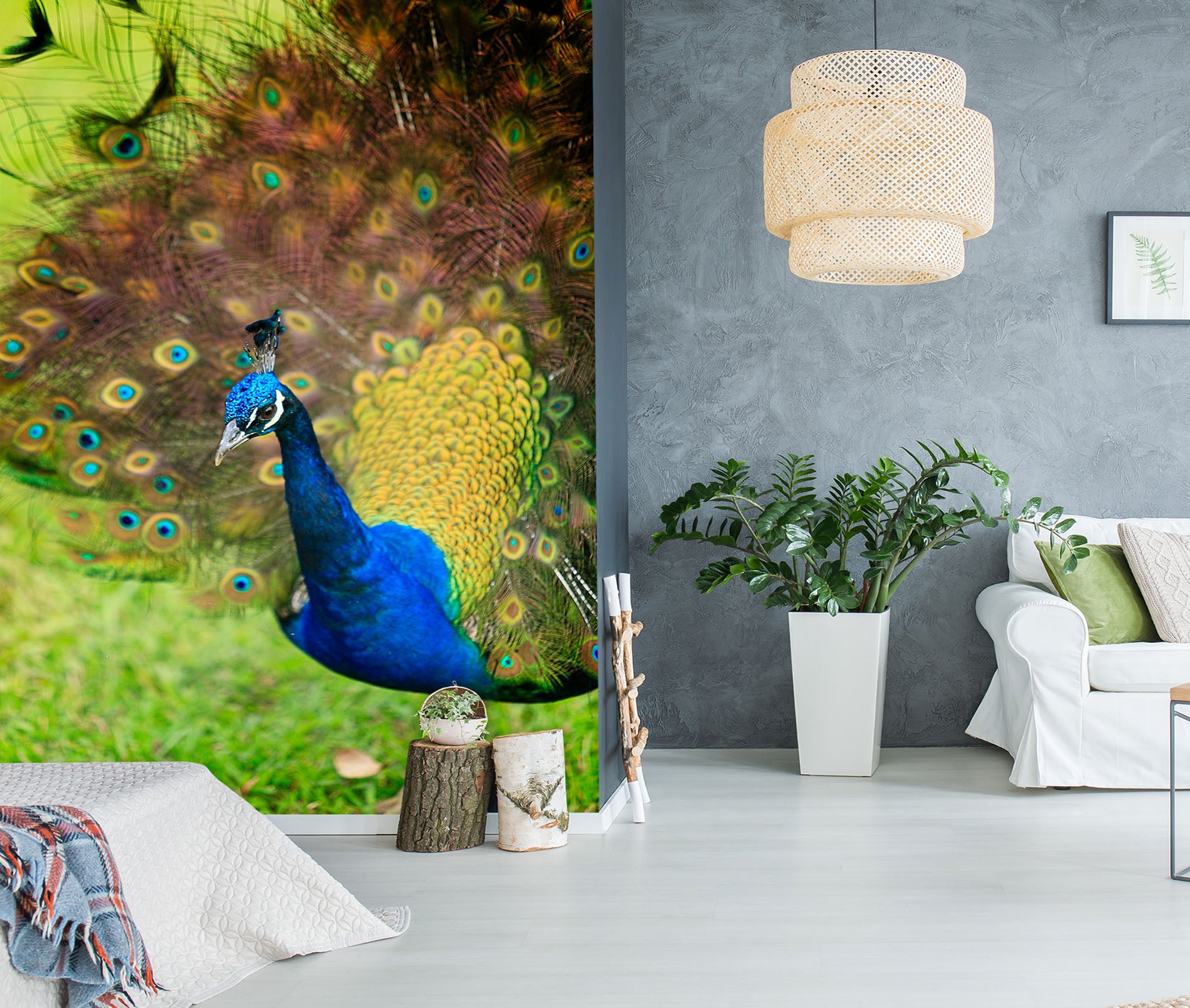 3D Peacock 62099 Kathy Barefield Wall Mural Wall Murals