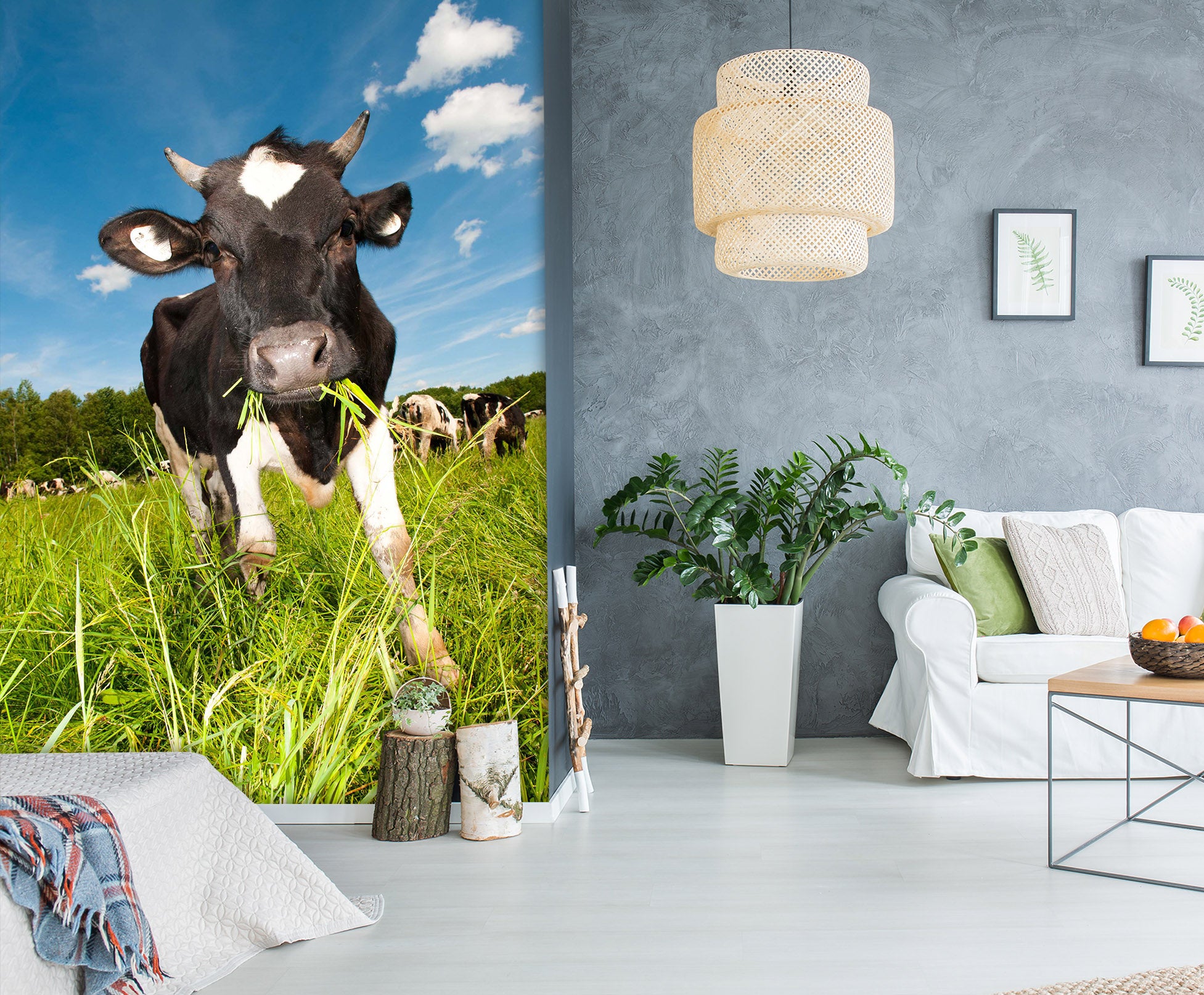 3D Cow Grass 1977 Wall Murals