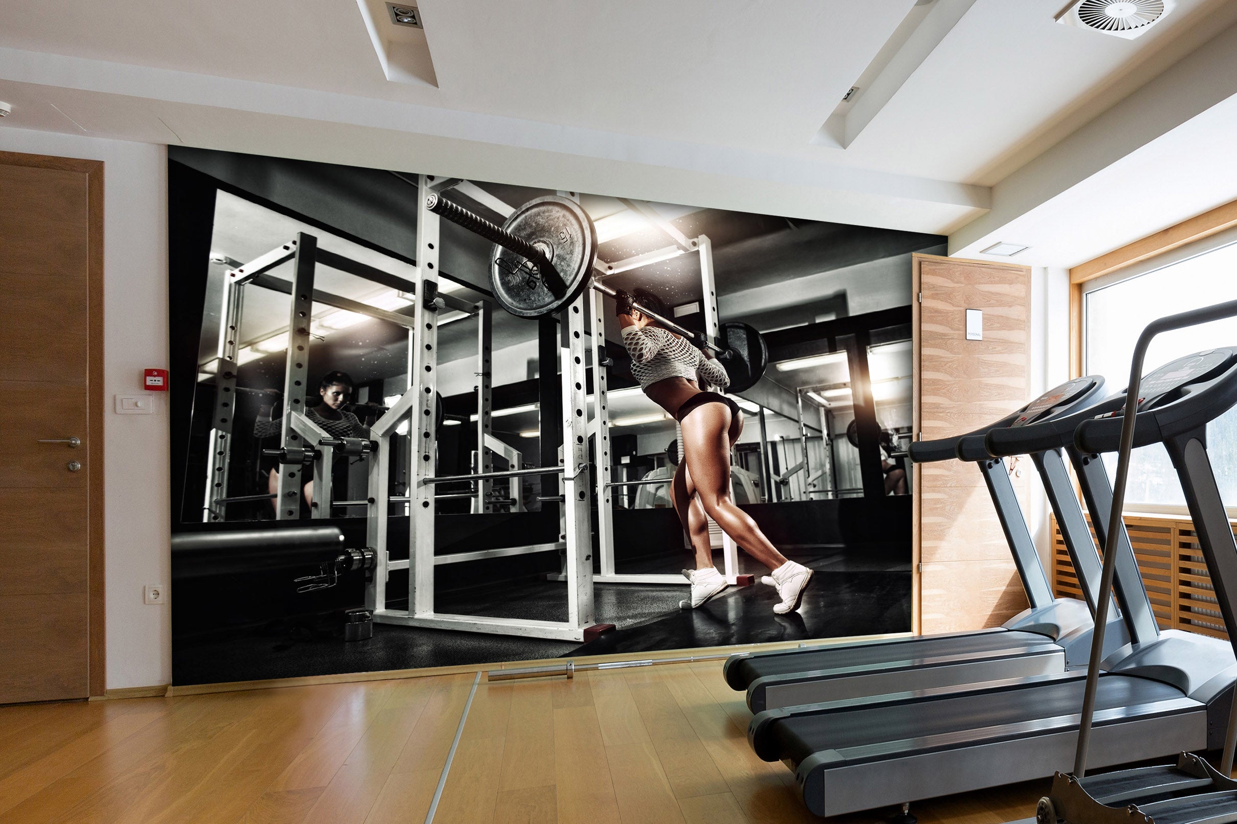 3D Barbell Exercise 221 Wall Murals