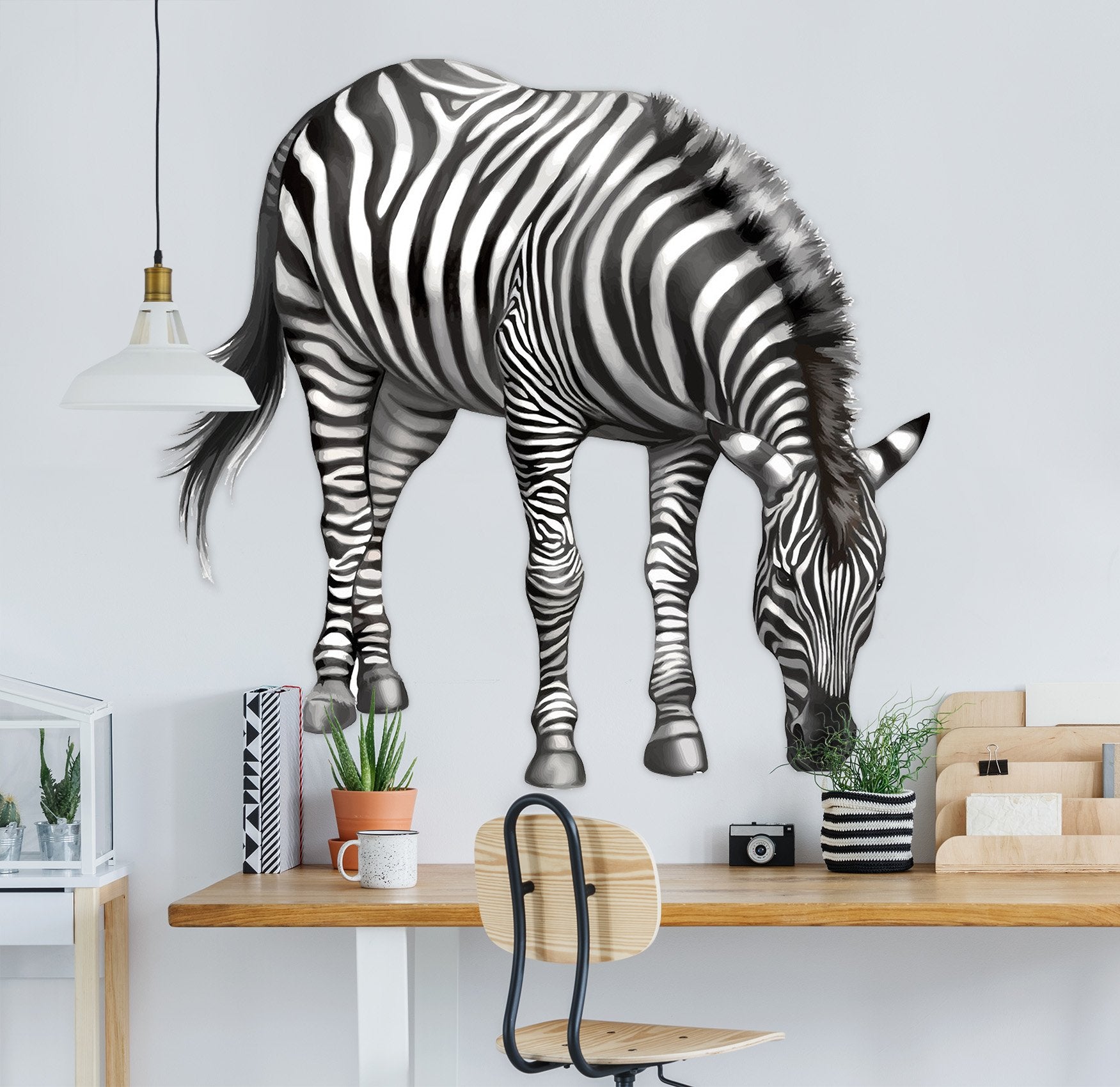 3D Zebra Looking For Something To Eat 149 Animals Wall Stickers Wallpaper AJ Wallpaper 