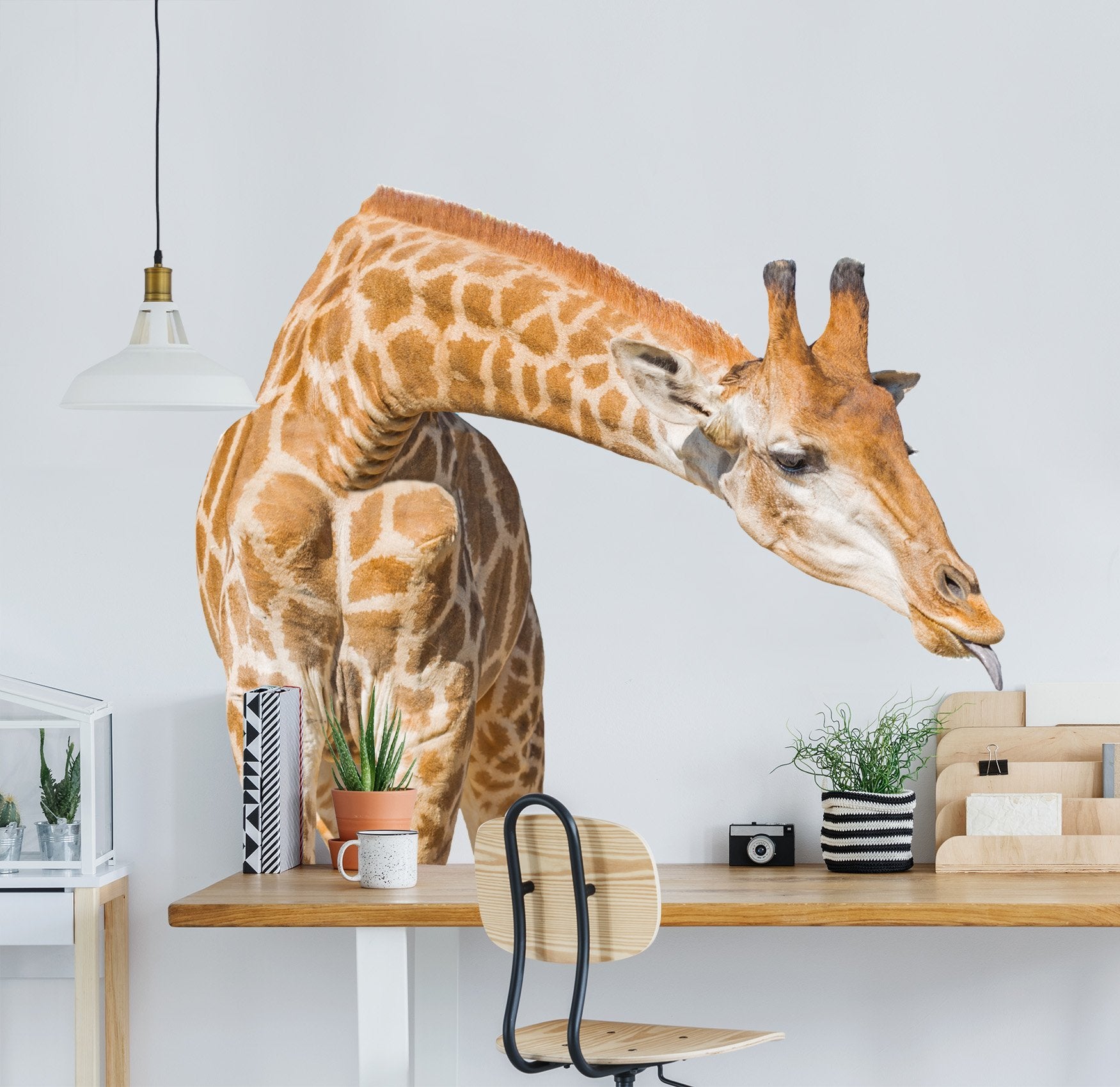 3D Giraffe Eating 131 Animals Wall Stickers Wallpaper AJ Wallpaper 