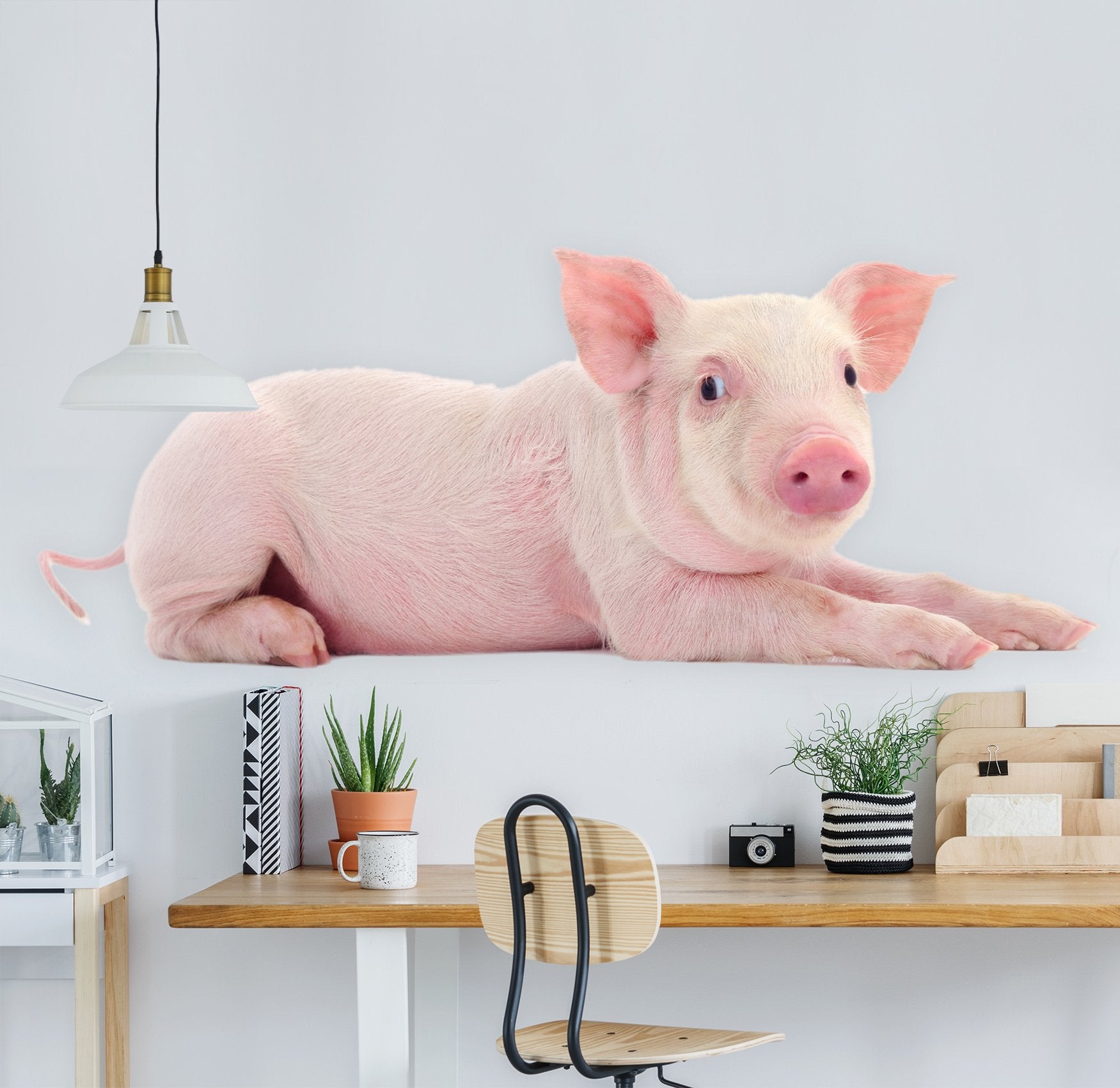 3D Lying Pig 140 Animals Wall Stickers Wallpaper AJ Wallpaper 