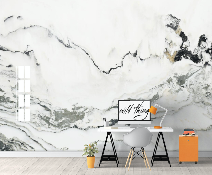 3D Ink Abstraction WG030 Wall Murals