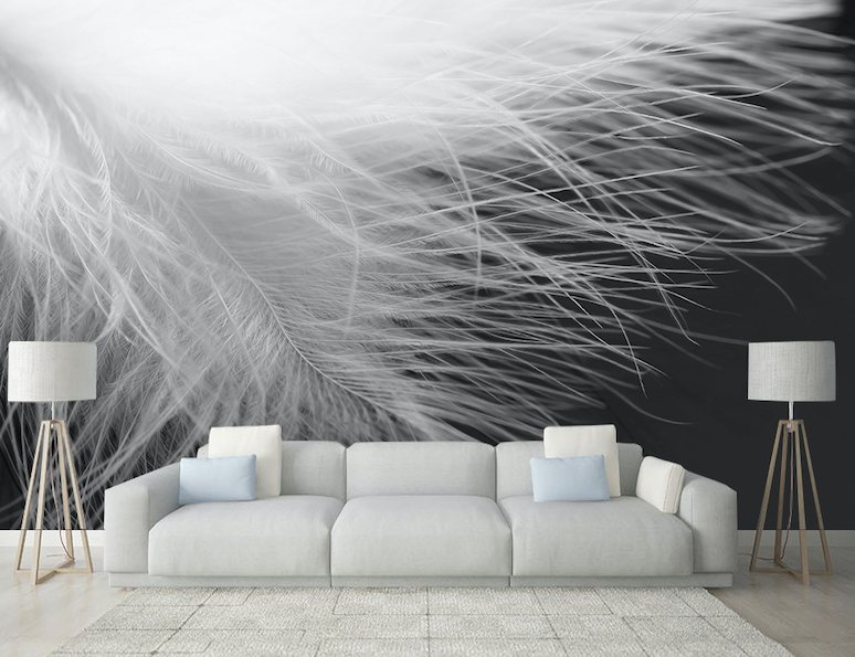 3D Soft Feather WG286 Wall Murals