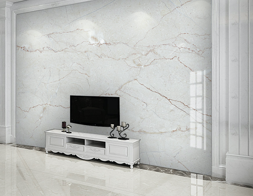 3D Branch Pattern WG292 Wall Murals
