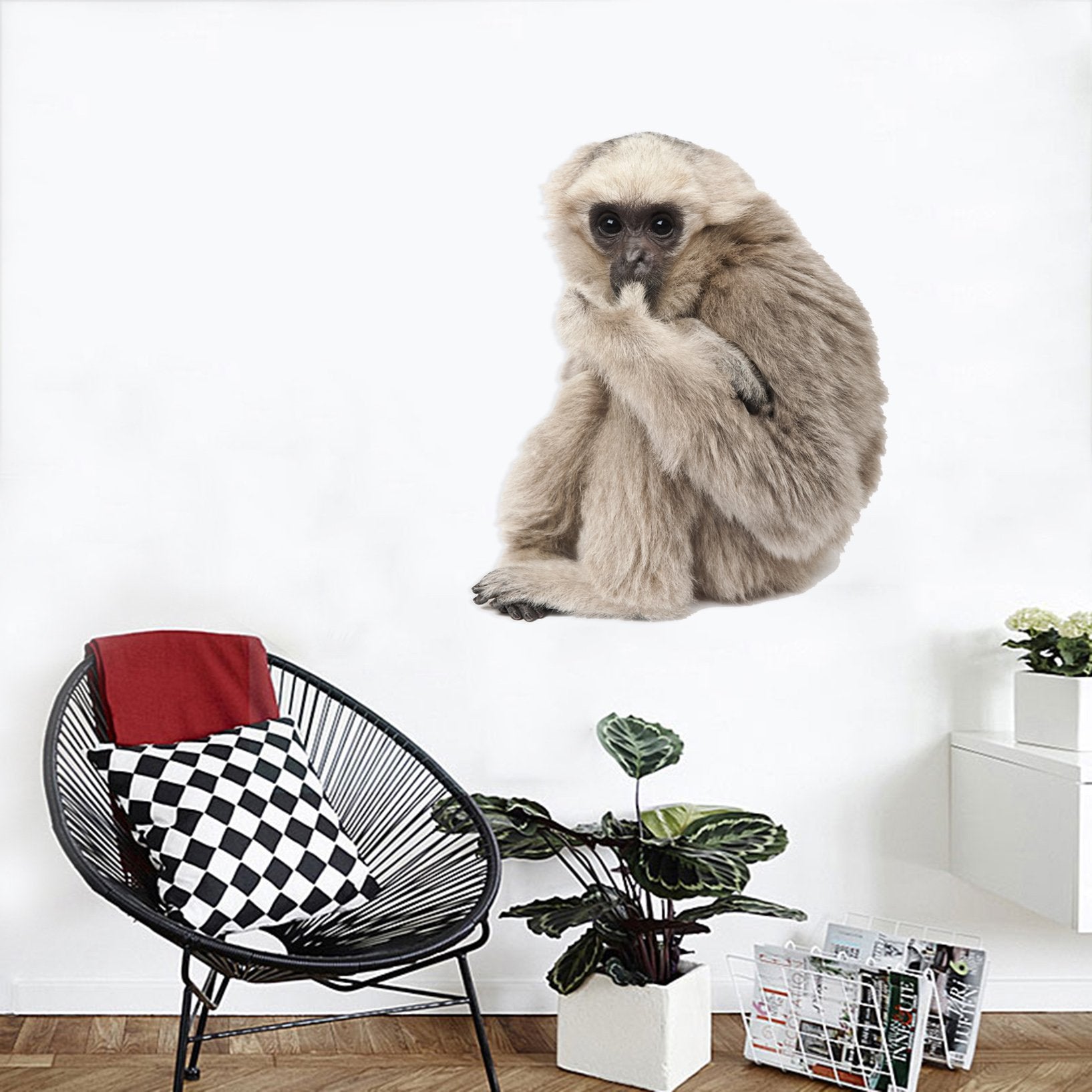 3D Orangutan Eating A Finger 190 Animals Wall Stickers Wallpaper AJ Wallpaper 