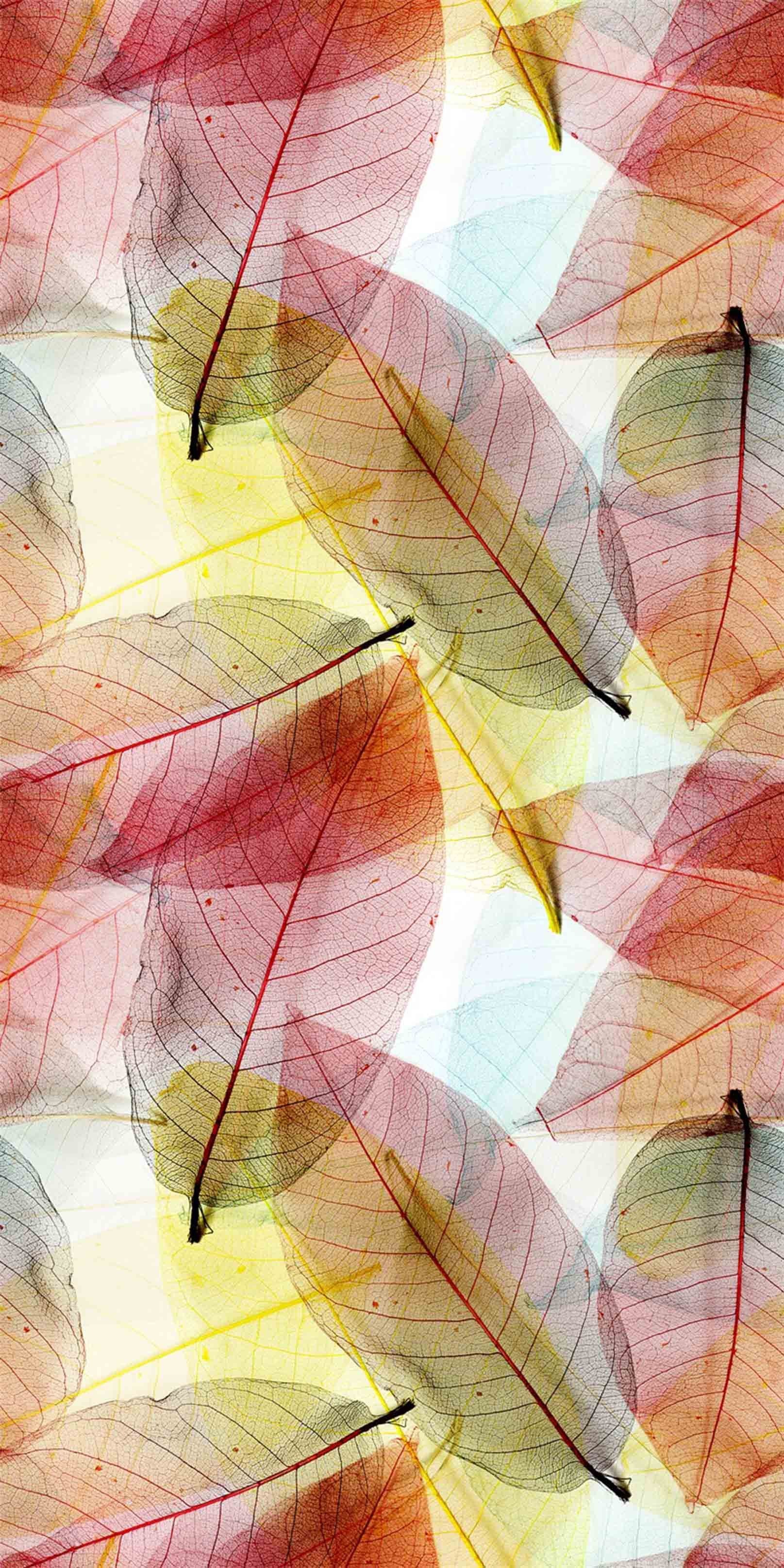 3D Colorful Leaves 1004 Stair Risers Wallpaper AJ Wallpaper 