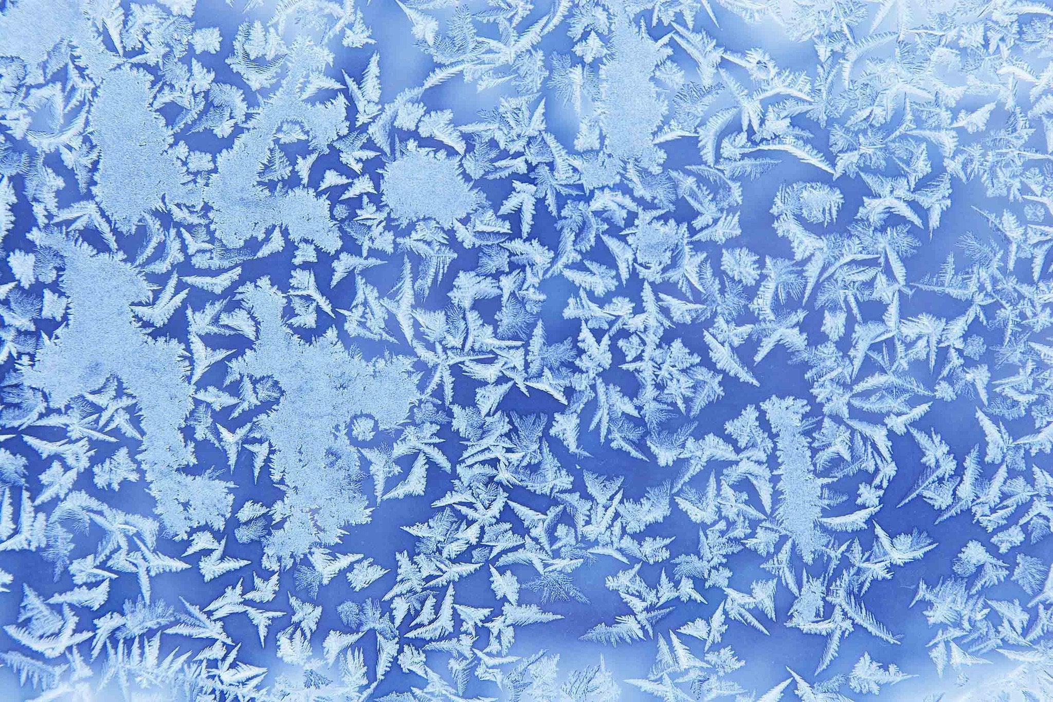 Icing Leaves Wallpaper AJ Wallpaper 