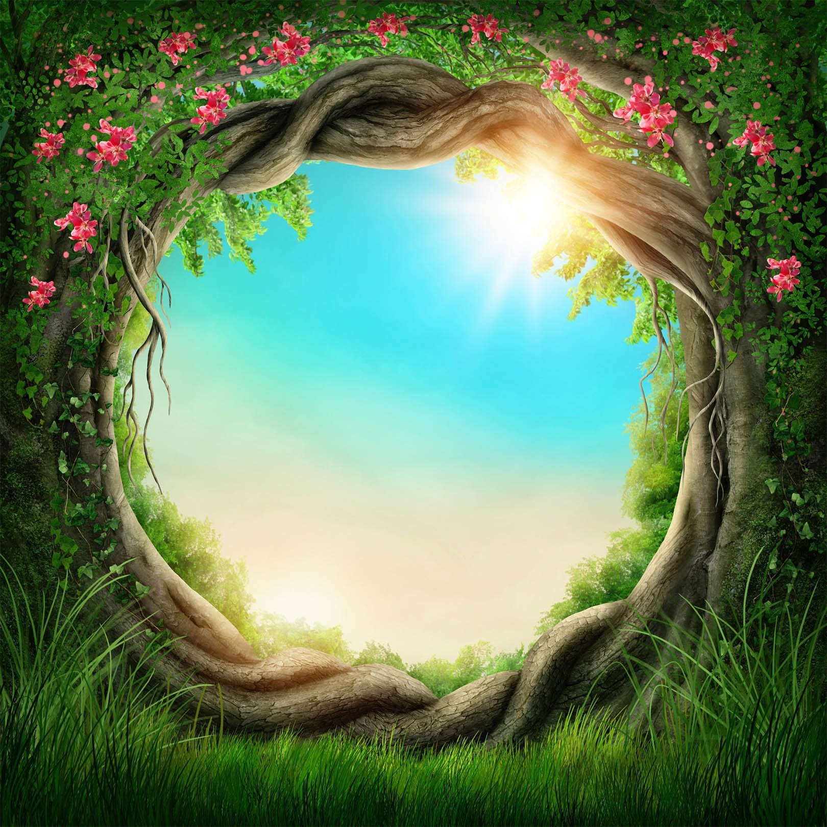 Trees Rattan Circle Blue Sky Wallpaper AJ Wallpaper 