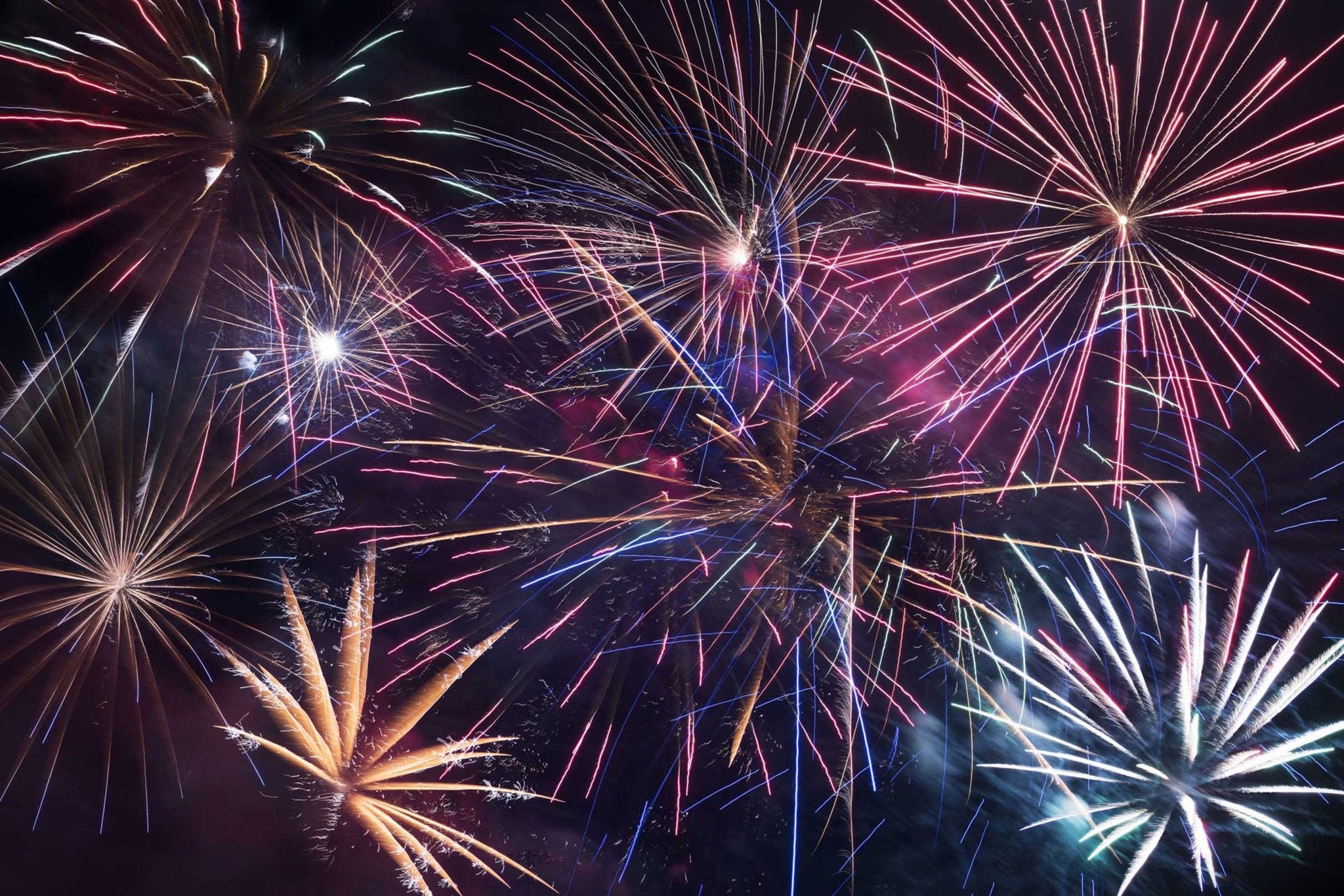Blooming Beautiful Fireworks Wallpaper AJ Wallpaper 