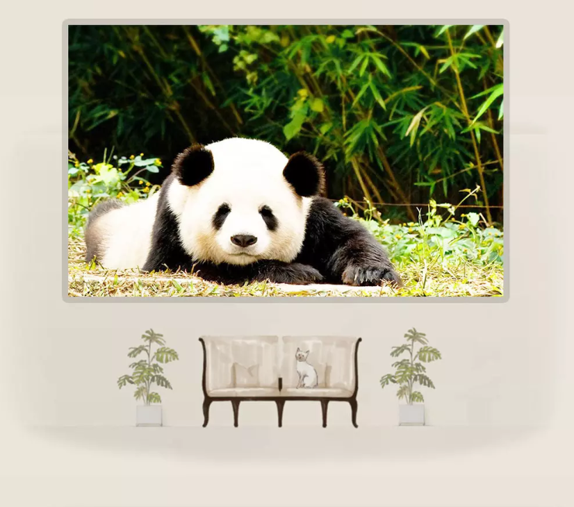 3D Panda Kneeling 1194 Wallpaper AJ Wallpaper 2 