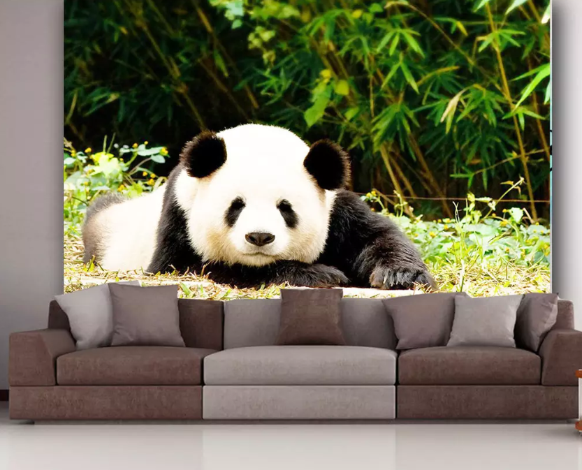 3D Panda Kneeling 1194 Wallpaper AJ Wallpaper 2 