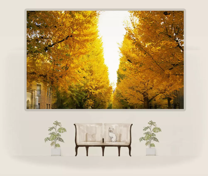 3D Lush Autumn Maple 1187 Wallpaper AJ Wallpaper 2 