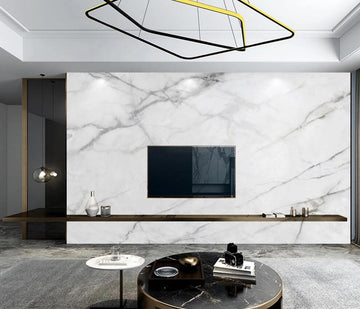 3D Light Gray Shattered Spread 1691 Wall Murals