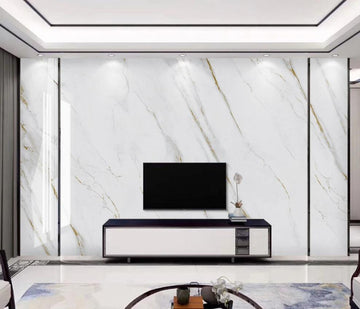 3D Faint Golden Texture 1683 Wall Murals