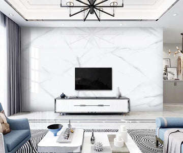 3D Vaguely Reticulated 1426 Wall Murals