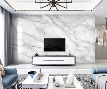 3D Thick Gray Lines Spread 1423 Wall Murals