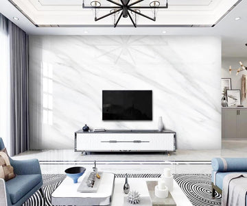 3D Shadow Spider Web 1422 Wall Murals